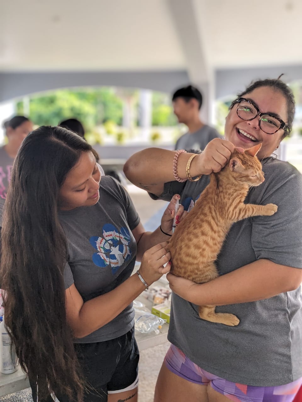 Pets, including this cat, were treated free of cost during the animal clinic conducted by the Saipan Humane Society on Rota on Saturday, Dec. 9, 2023.
