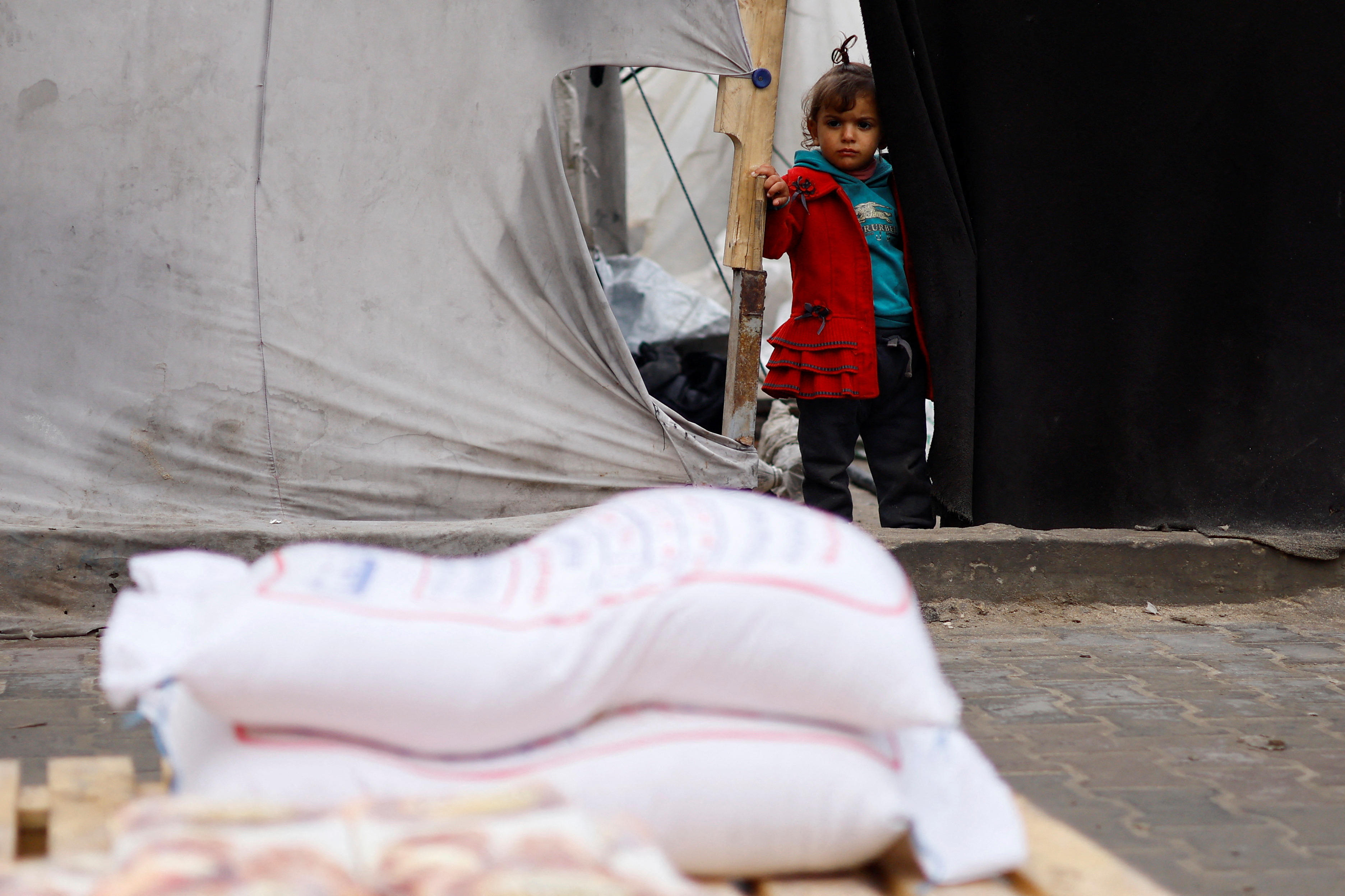 A Palestinian girl looks at bags of flour distributed by the United Nations Relief and Works Agency (UNRWA), amid the ongoing conflict between Israel and Hamas, in Rafah in the southern Gaza Strip January 29, 2024. 