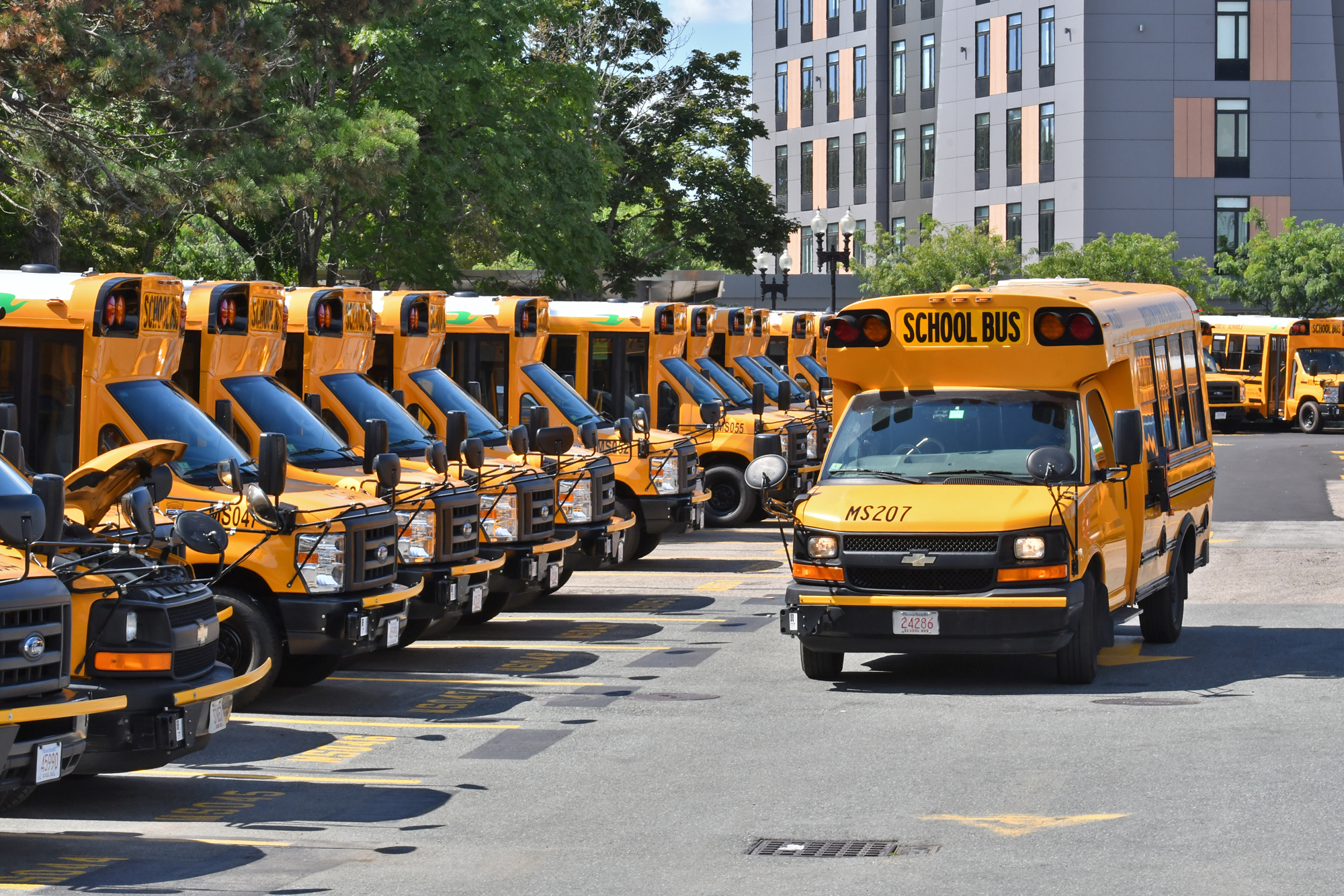 School buses on a lot at Washington Street and Melnea Cass Boulevard on Aug. 29, 2019, in Boston. 