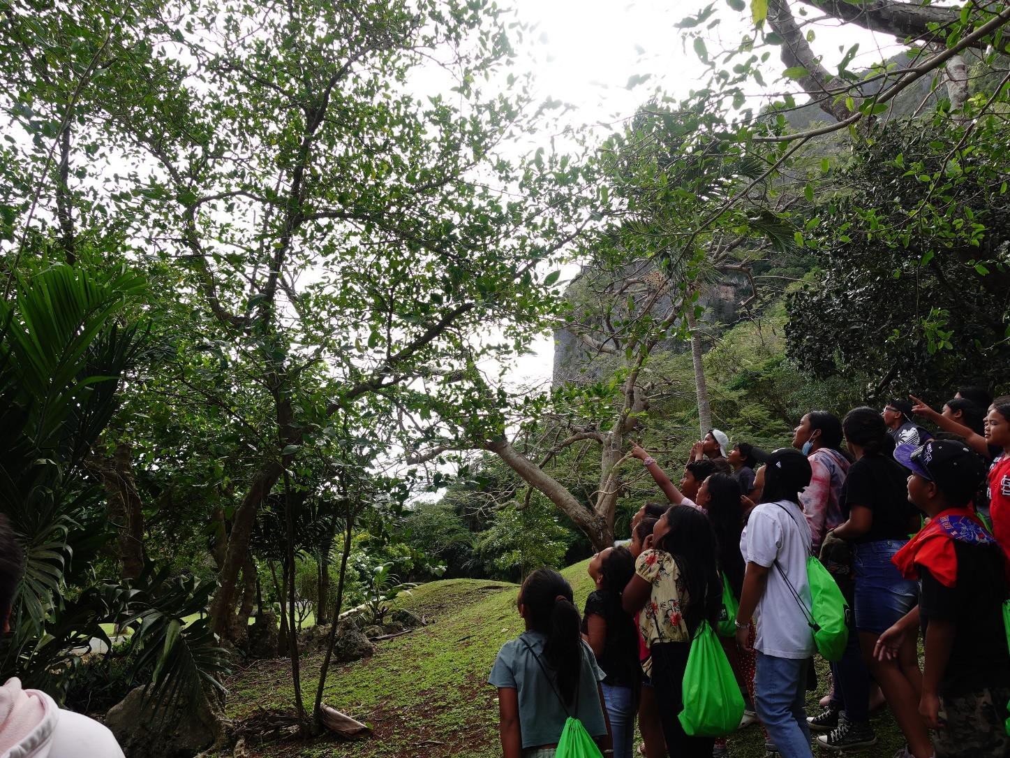 MY WAVE Club members catch sight of an endangered Marianas fruit dove at Last Command Post in Marpi during the Marianas Tourism Education Council Tourism Summit on Jan. 19, 2024.