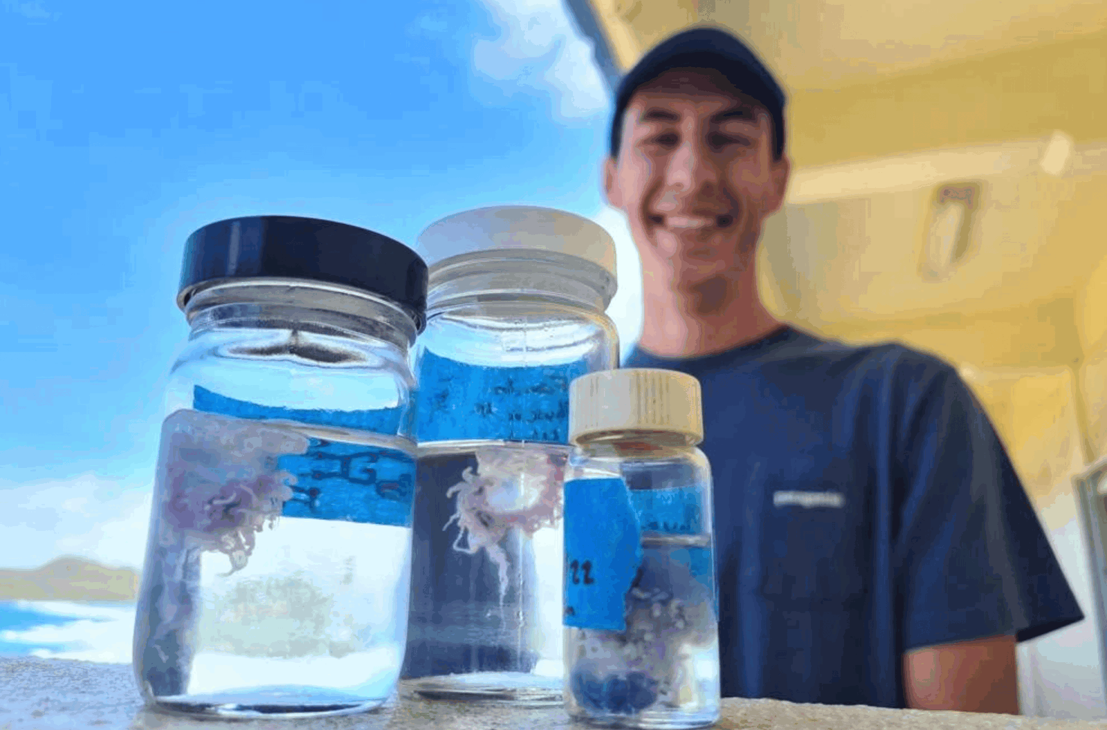 Colin Anthony, a graduate researcher at the University of Guam Marine Laboratory, stands behind samples of the Indo-Pacific man-of-war. 