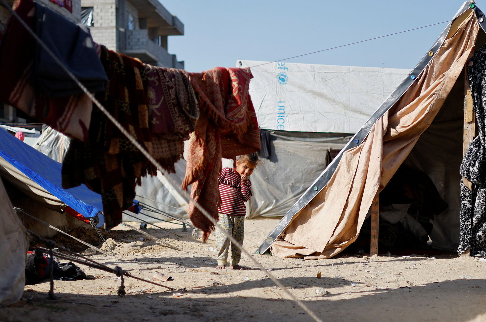 A displaced Palestinian child, who fled their house due to Israeli strikes, looks on inside a tent camp, amid the ongoing conflict between Israel and the Palestinian Islamist group Hamas, in Rafah in the southern Gaza Strip, January 22, 2024. 