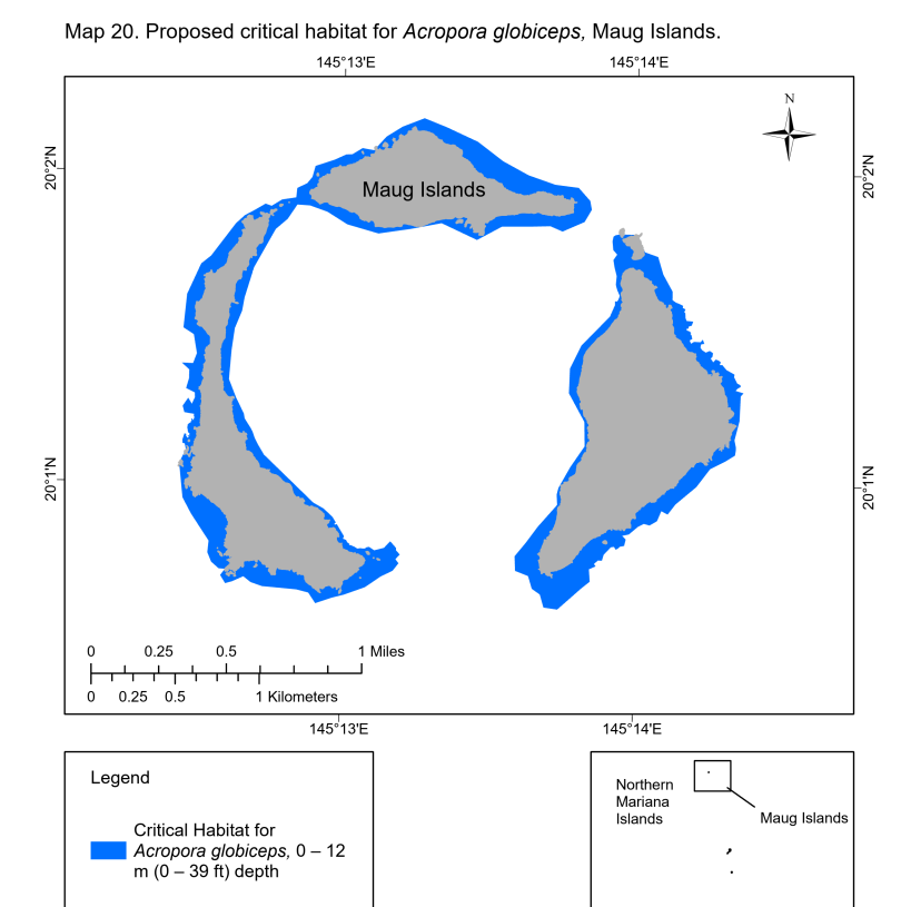 The areas in blue are NOAA's proposed sites of critical habitat designation.  