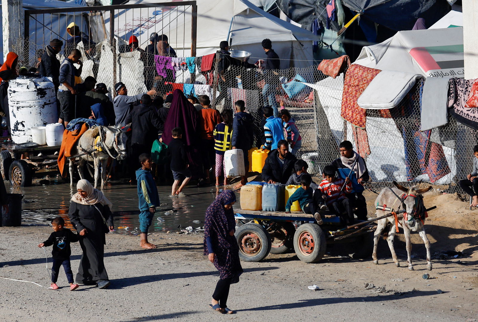 Displaced Palestinians, who fled their houses due to Israeli strikes, shelter at a tent camp, amid the ongoing conflict between Israel and the Palestinian Islamist group Hamas, in Rafah in the southern Gaza Strip, January 18, 2024. 