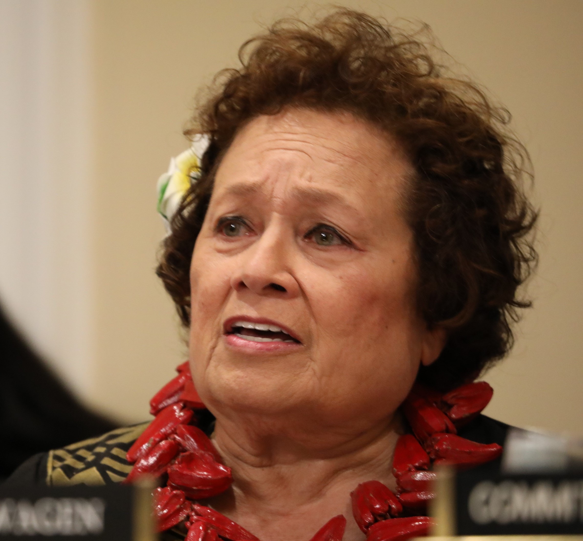 Congressman Amata delivers her statement in a hearing conducted by the U.S. House Subcommittee on Indian and Insular Affairs on her bill, H.R. 6062.