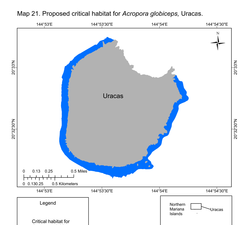 The areas in blue are NOAA's proposed sites of critical habitat designation.  