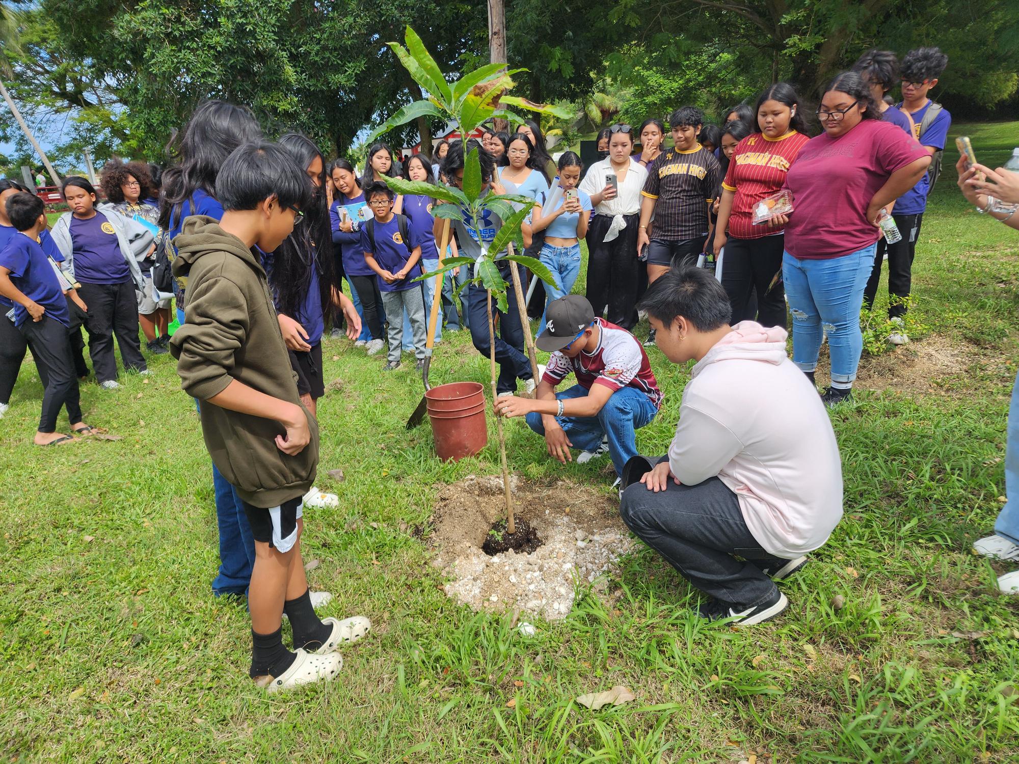 Students from Kagman High School and Hopwood Middle School plant a mango tree on Friday at Sugar King Park in Garapan as part of the Marianas Tourism Education Council's Tourism Summit 2024.