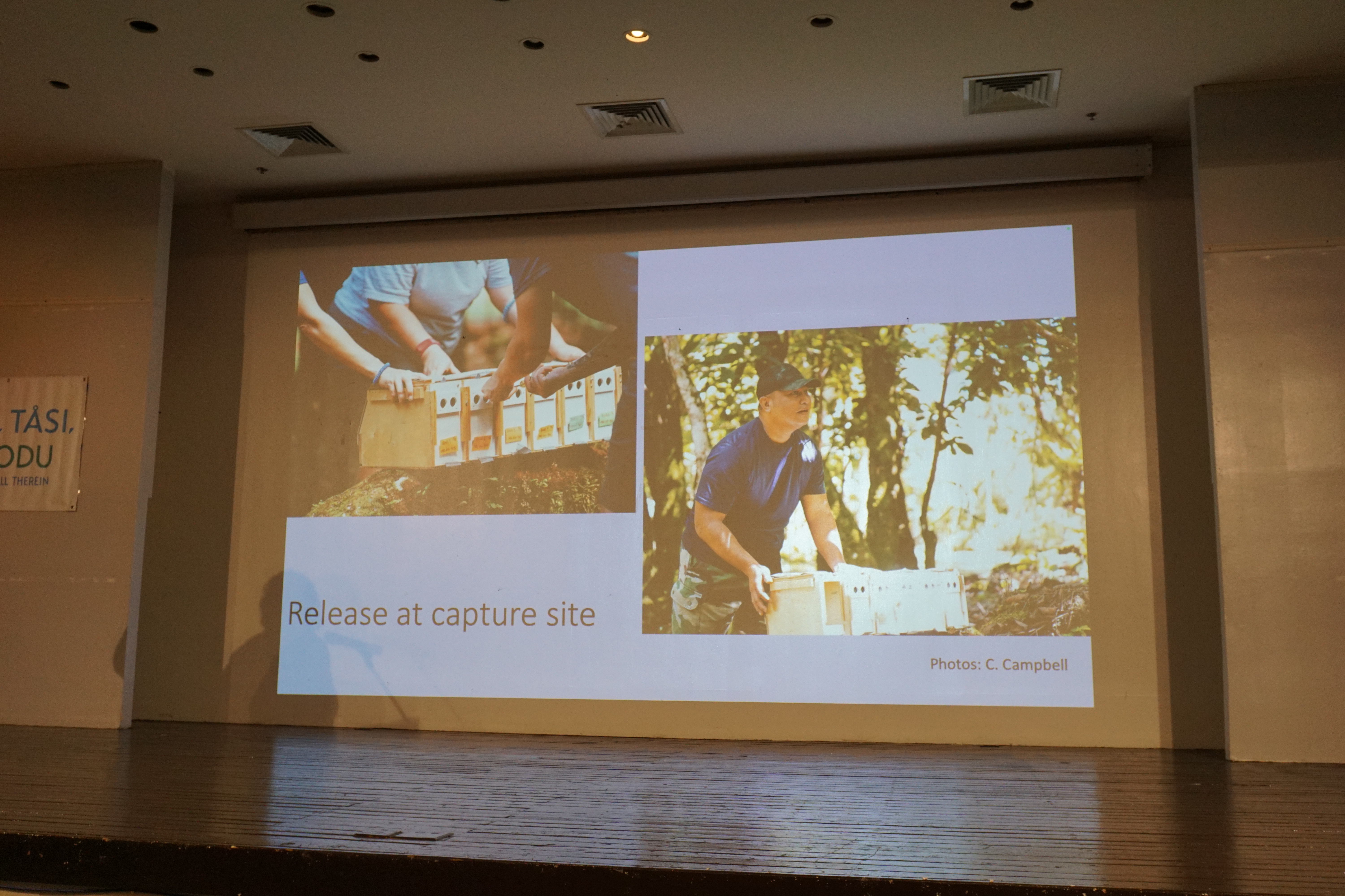 This slide demonstrated the moment just before captured Nosa' Luta were returned to their habitat, at an undisclosed location on Rota in 2023.