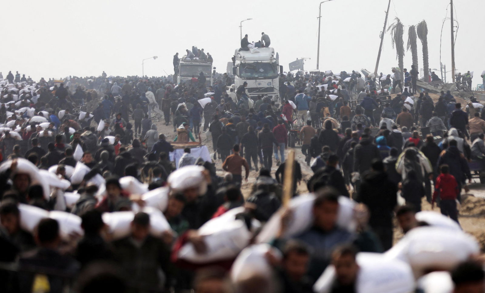 Palestinians carry bags of flour they grabbed from an aid truck near an Israeli checkpoint, as Gaza residents face crisis levels of hunger, amid the ongoing conflict between Israel and Hamas, in Gaza City, February 19, 2024. 