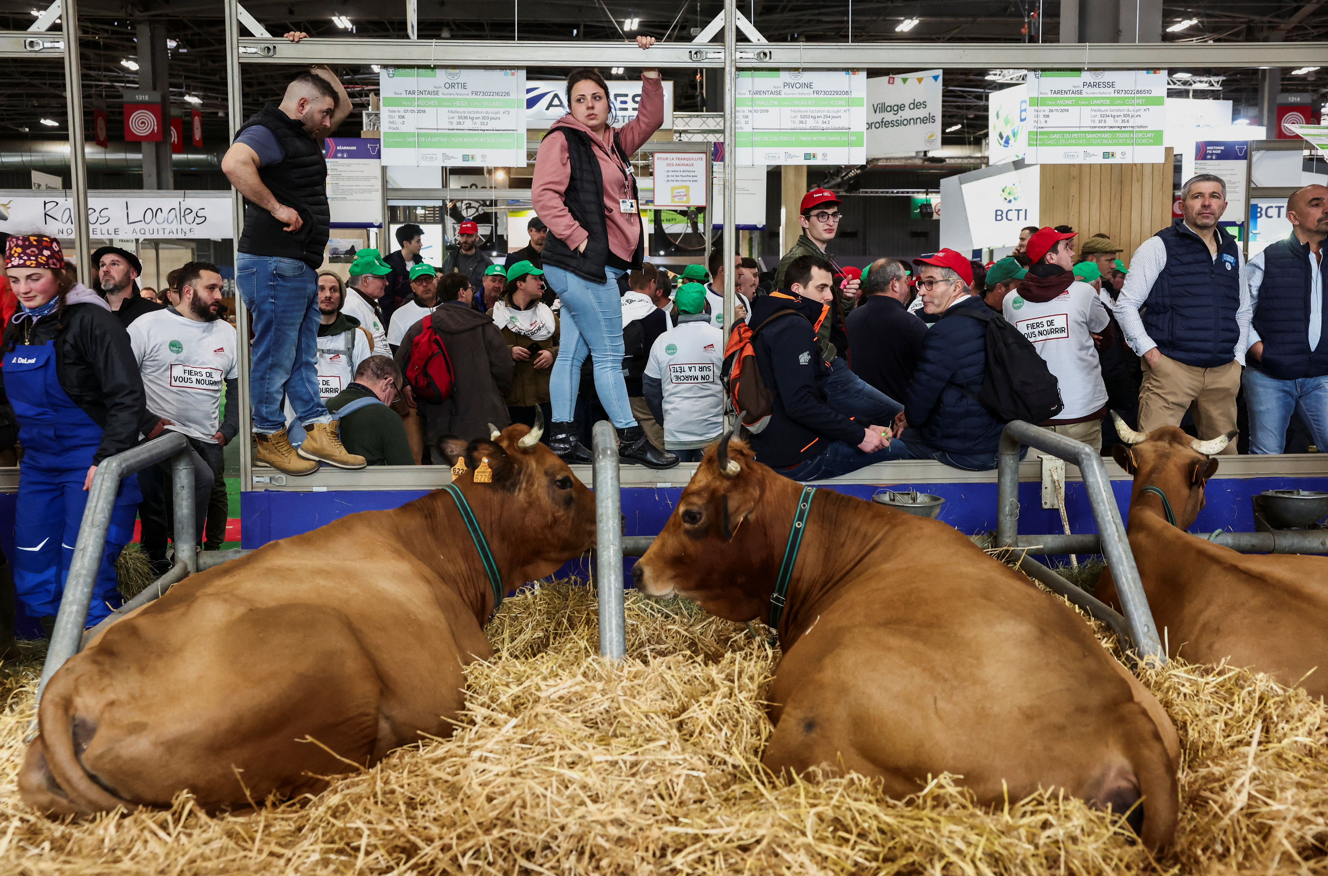 People stand next to cows as farmers protest inside the Porte de Versailles exhibition centre, on the day of French President Emmanuel Macron's visit to the International Agriculture Fair (Salon International de l'Agriculture) during its inauguration, in Paris, France, February 24, 2024. 