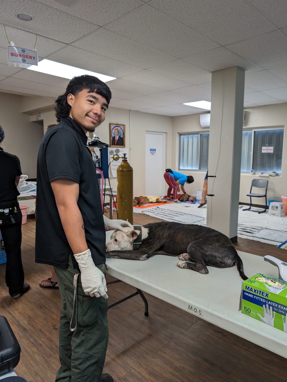 The Dog Control Program's Joseph Mafnas and his colleague Toshi Tagawa assist the Saipan Humane Society at its spay and neuter clinic.