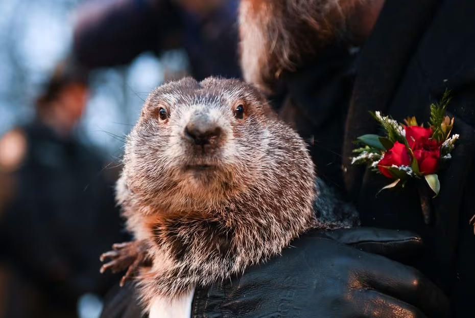Punxsutawney Phil's handler A.J. Dereume holds the famous groundhog during the 136th Groundhog Day, at Gobblers Knob in Punxsutawney, Pennsylvania, Feb. 2, 2022.
