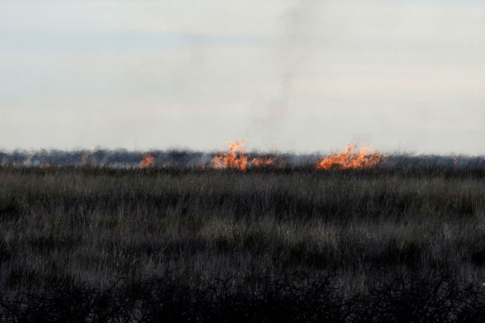 The Smokehouse Creek wildfire burns across some grassland outside of Canadian, Texas, U.S. February 28, 2024. 