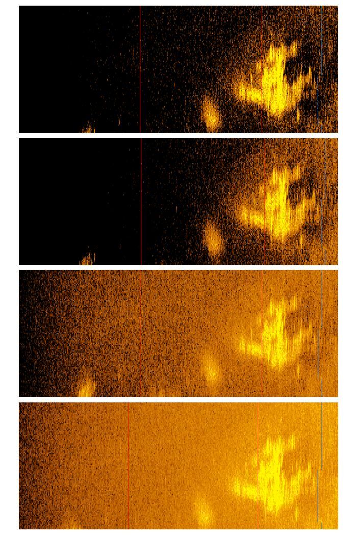 A sonar image — reflecting varying levels of brightness — of the airplane-shaped object resting 5,000 meters underwater about 100 miles from Howland Island.