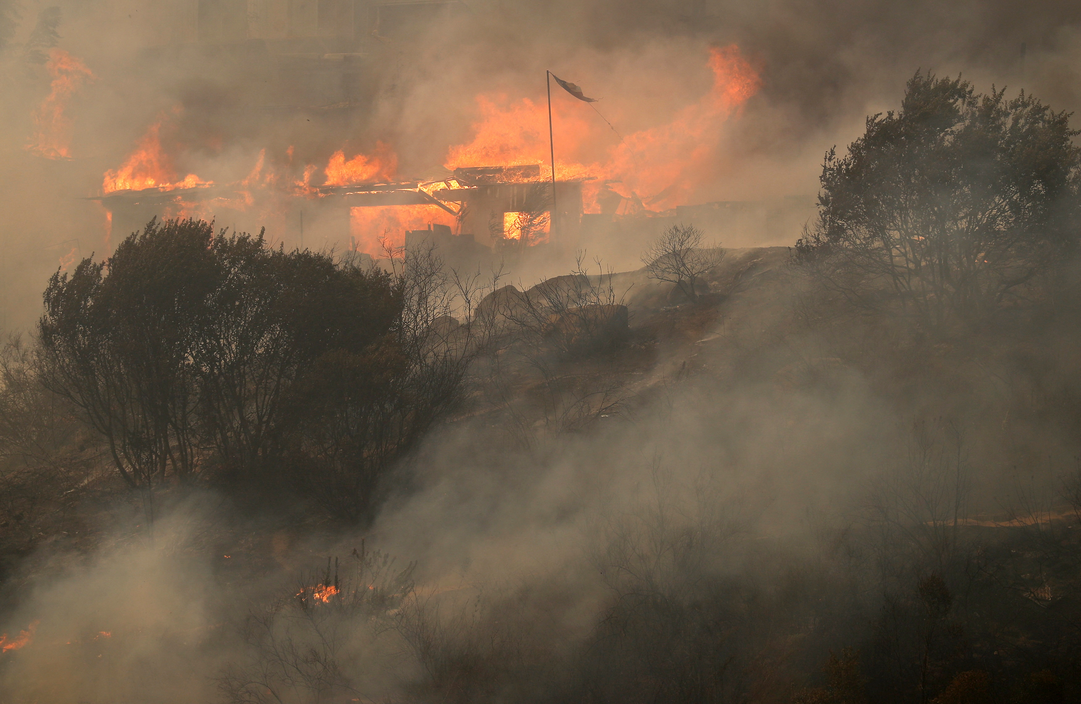 Houses burn amid the spread of wildfires in Vina del Mar, Chile February 3, 2024. 