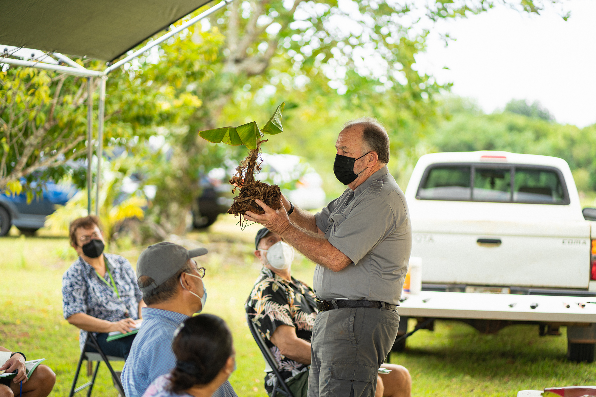 Horticulturalist Robert Bevacqua of the University of Guam teaches community members about banana propagation at a workshop on Feb. 12, 2022. Bevacqua will be leading a beginning farmers workshop on March 9 focused on growing mulberry, Surinam cherry, eggfruit, and peanut butter fruit trees and uses for their fruits.