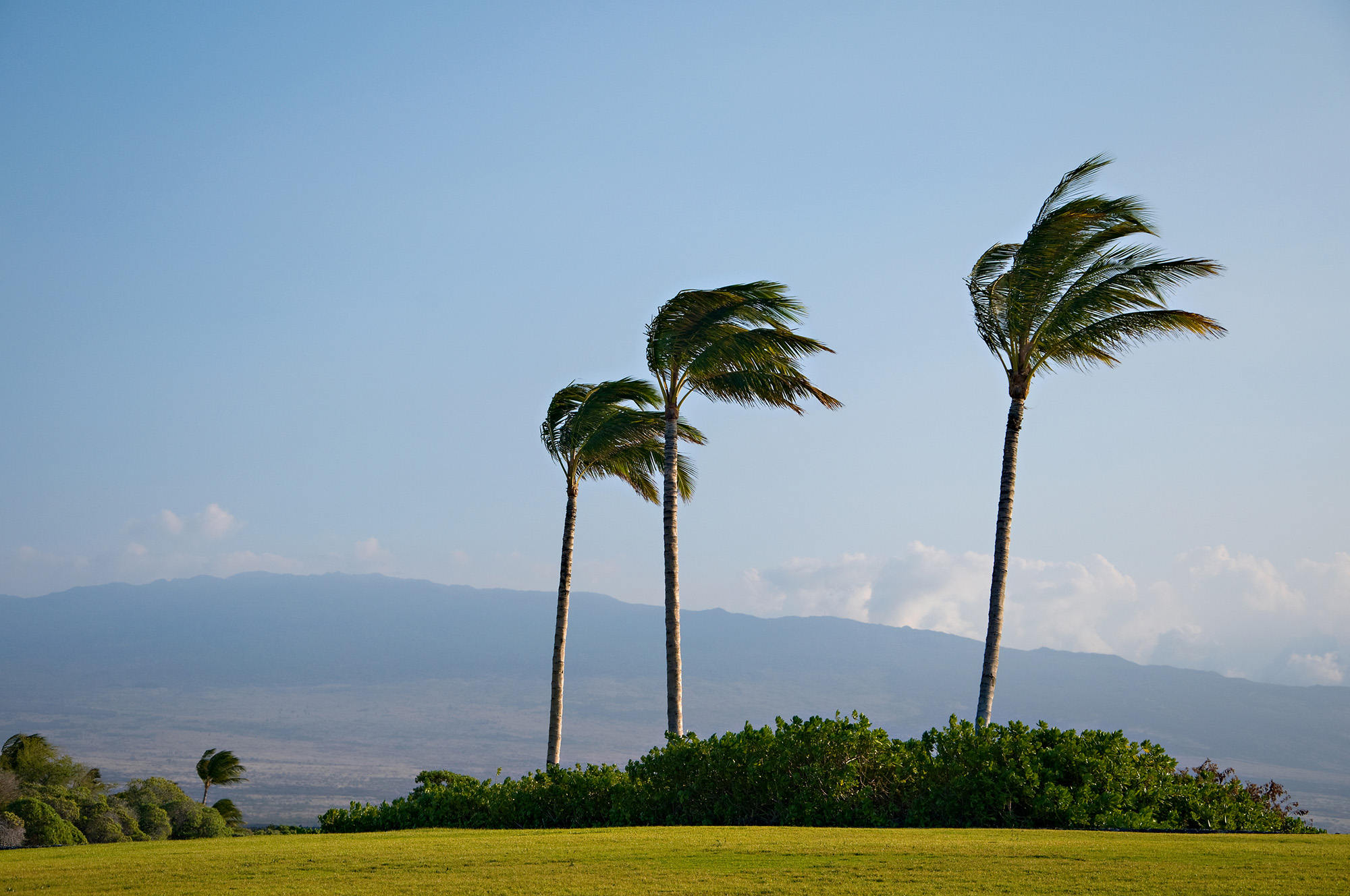 California braces for a "potentially historic" storm. (Heather Barr/Dreamstime/TNS)