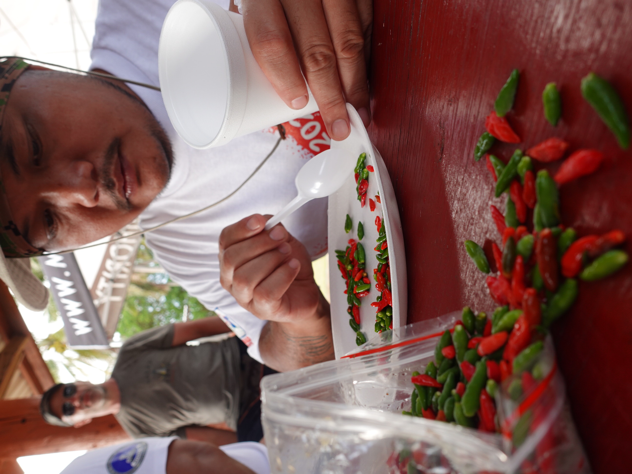 Brian Ayuyu of the Marianas Visitors Authority carefully counts out 100 “donni Sali” hot pepper for the Triple J Hot Pepper Eating Contest on Feb. 17, 2024, at the 20th Annual Tinian Hot Pepper Festival.