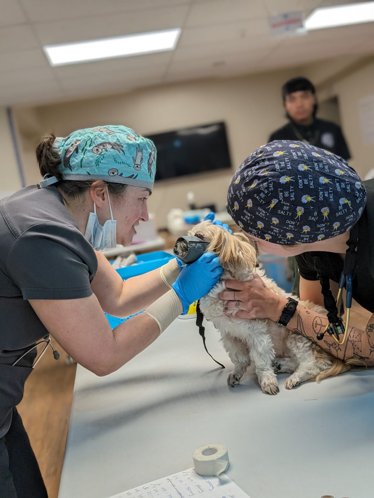 Dr. Jessica Nelson, left, and veterinarian technician Lauren Ruiz are on island to help the Saipan Humane Society conduct a spay and neuter clinic.
