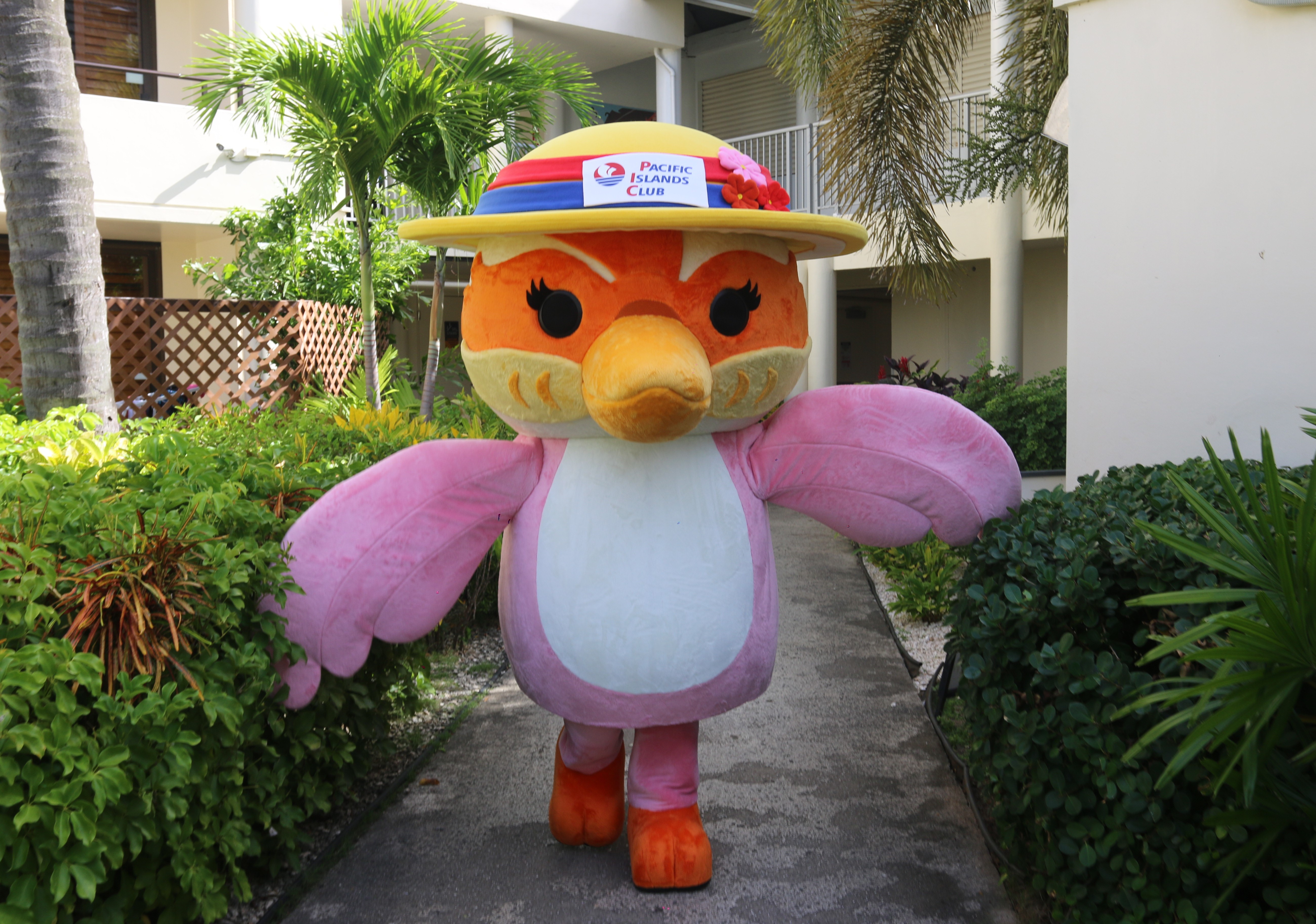 Sandy, a Sihek or Saipan Kingfisher, is the newest member of the PIC family.