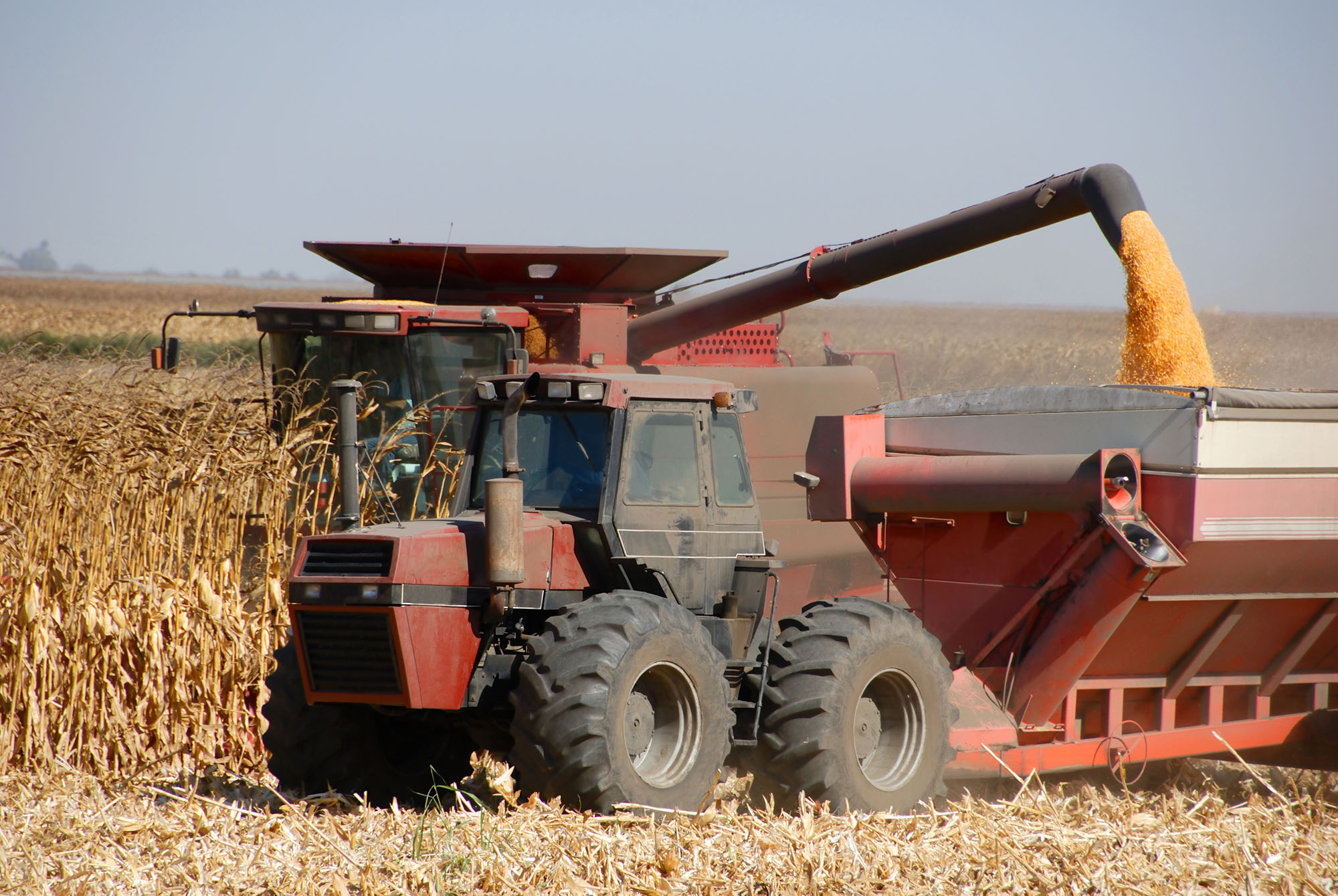 Harvesting corn with a combine in California's San Joaquin Valley. (Terrance Emerson/Dreamstime/TNS)