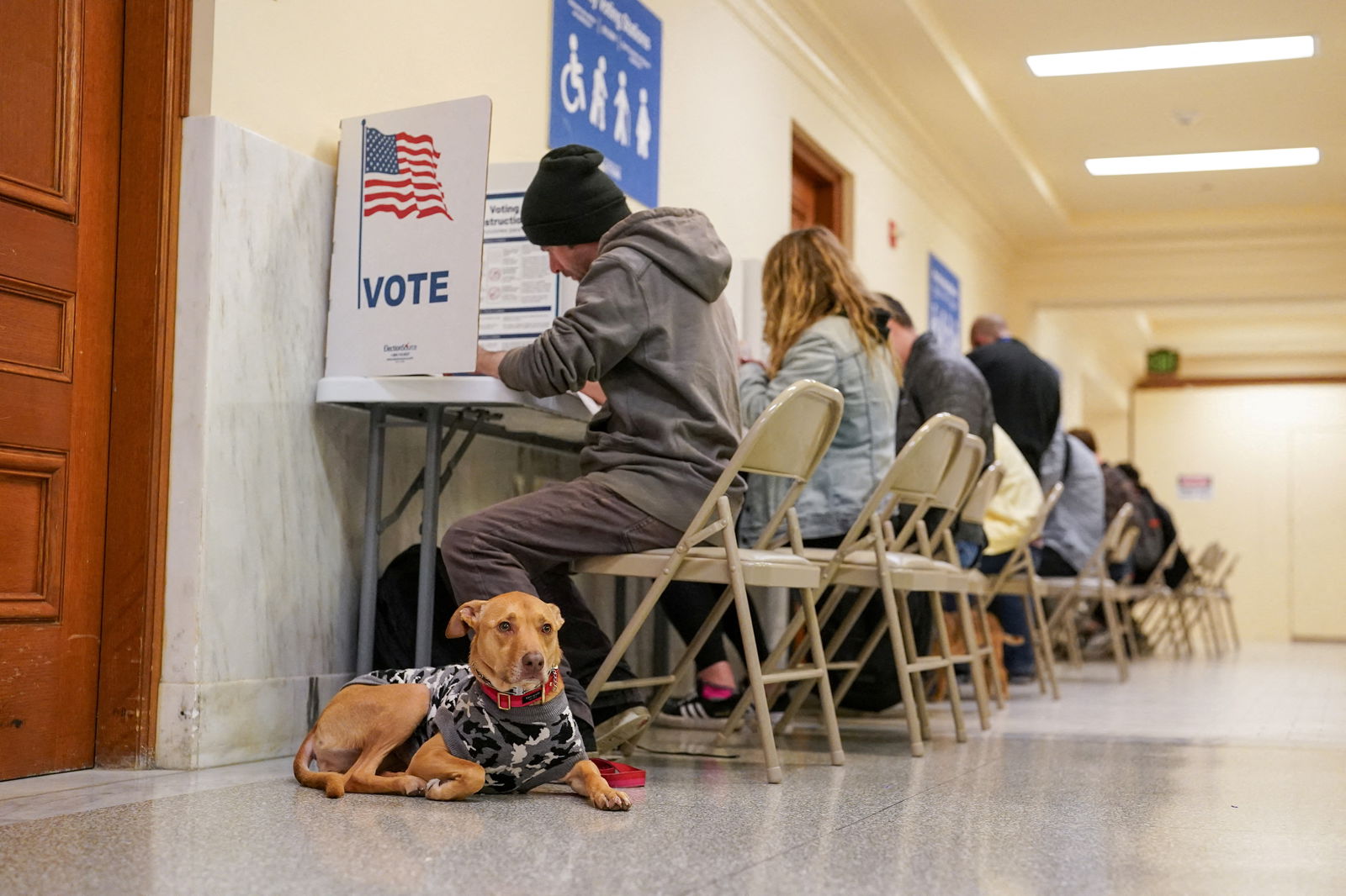 A dog waits for its owner to finish voting at the San Francisco City Hall voting center during the Super Tuesday primary election in San Francisco, California, U.S. March 5, 2024. 