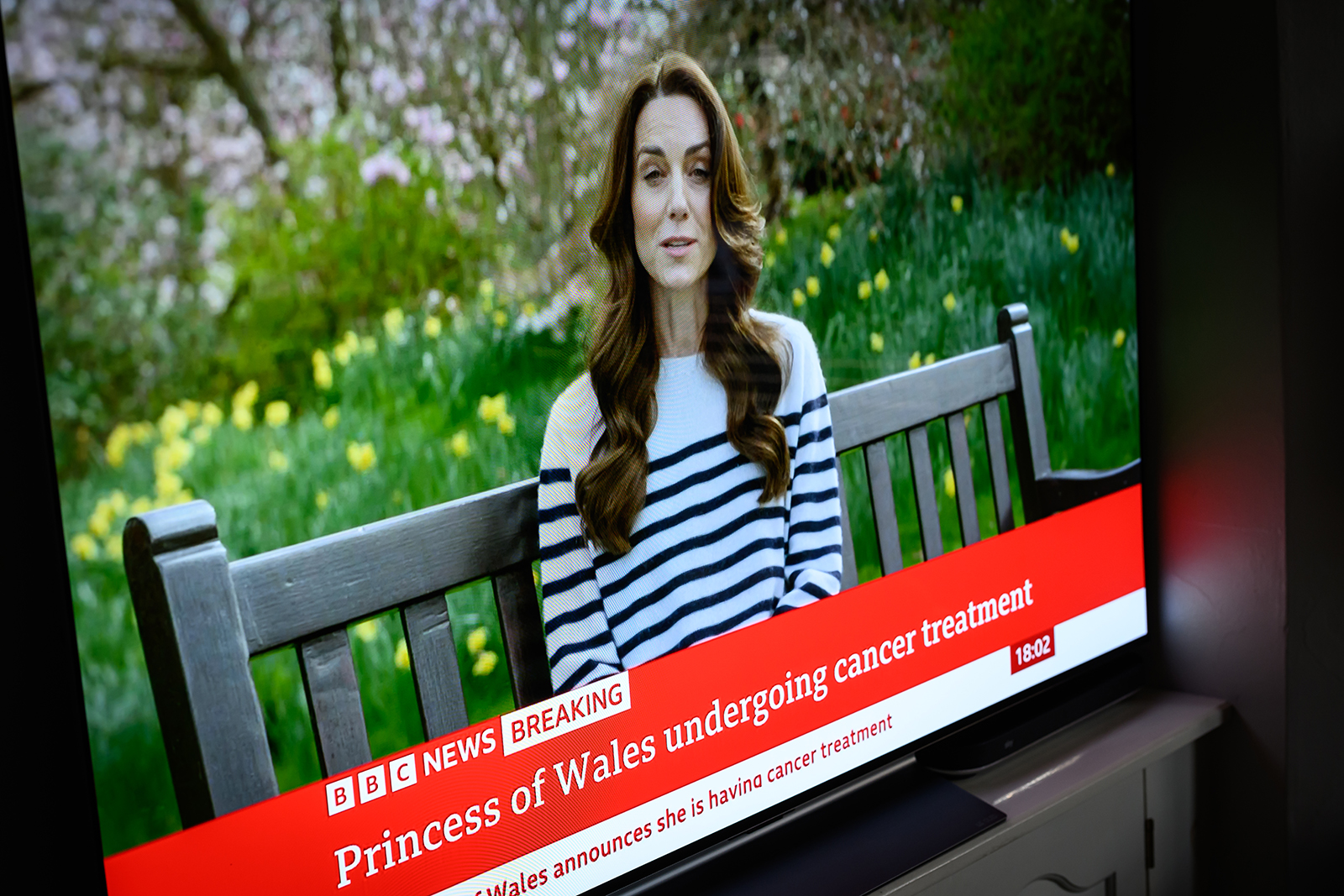 A screen displays a news report, as Catherine, The Princess of Wales announces that she is receiving a preventative course of chemotherapy for cancer on March 22, 2024, in London, England. The Princess of Wales had abdominal surgery earlier this year and has revealed that cancer has subsequently been found. She said she has been receiving chemotherapy and asked for privacy for her and her family. (Leon Neal/Getty Images/TNS)