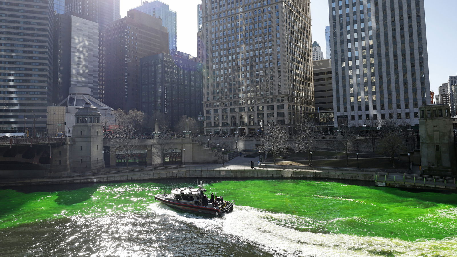 The Chicago River is dyed green by the the Chicago Plumbers Union, Chicago Journeymen Plumbers Local 130, to celebrate St. Patrick's Day, on Saturday, March 16, 2024, in downtown Chicago. (Vincent Alban/Chicago Tribune/TNS)