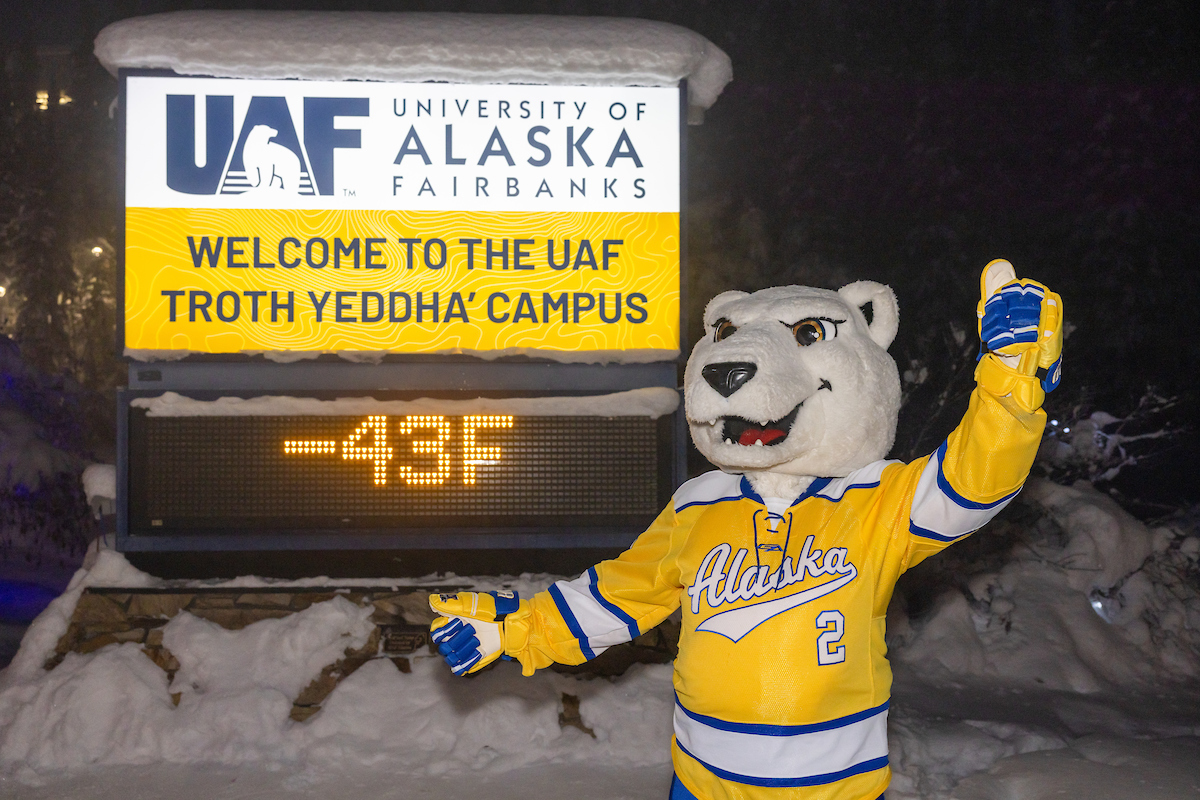 People brave the frigid temperatures to join the "40-Below Club" and get their photo taken in front of the UAF digital temperature sign on Alumni Drive Friday morning, Jan. 26, 2024. Photo shows UAF mascot Nook standing in front of the UAF sign.