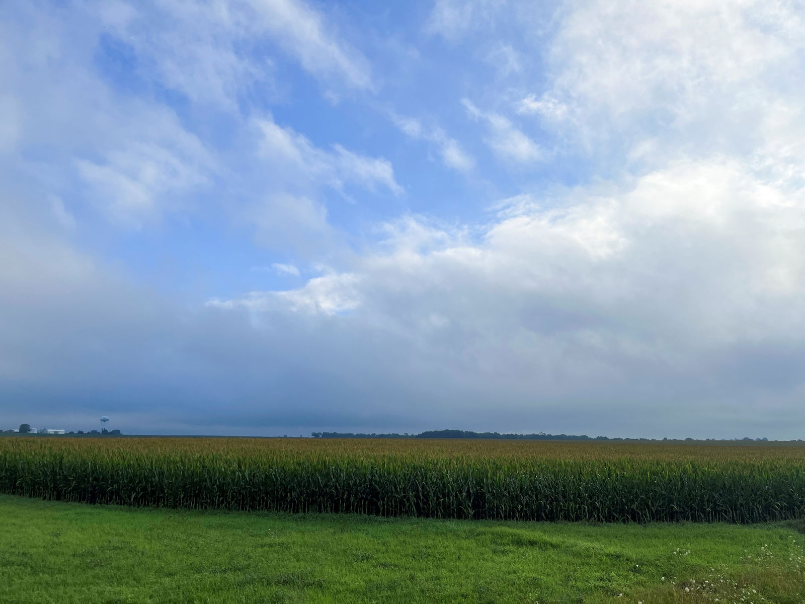 A general view of cornfields near West Point, Iowa, U.S., August 5, 2023. 