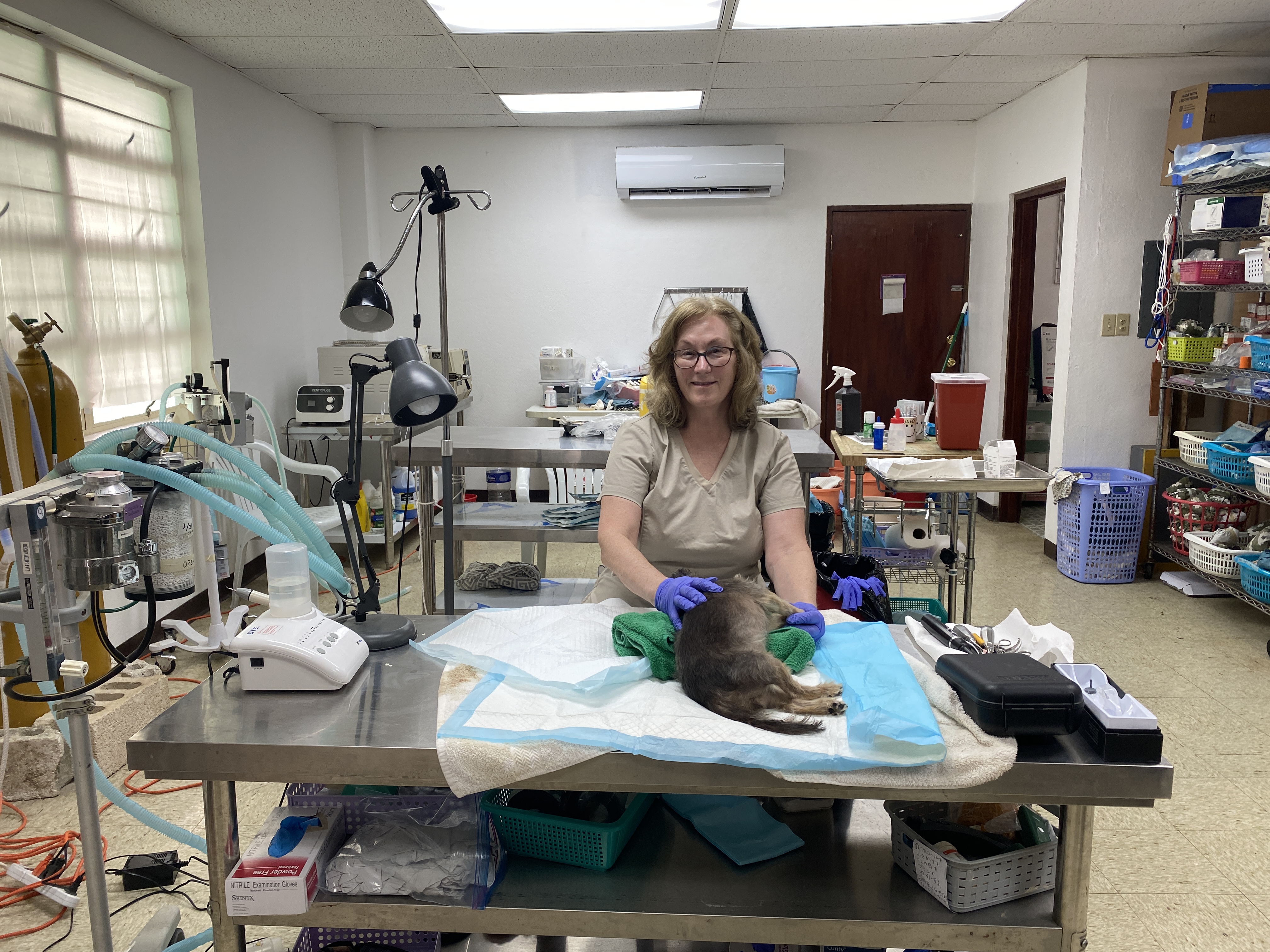 Kathy Hamblett of Alaska is visiting Saipan to provide veterinarian services.