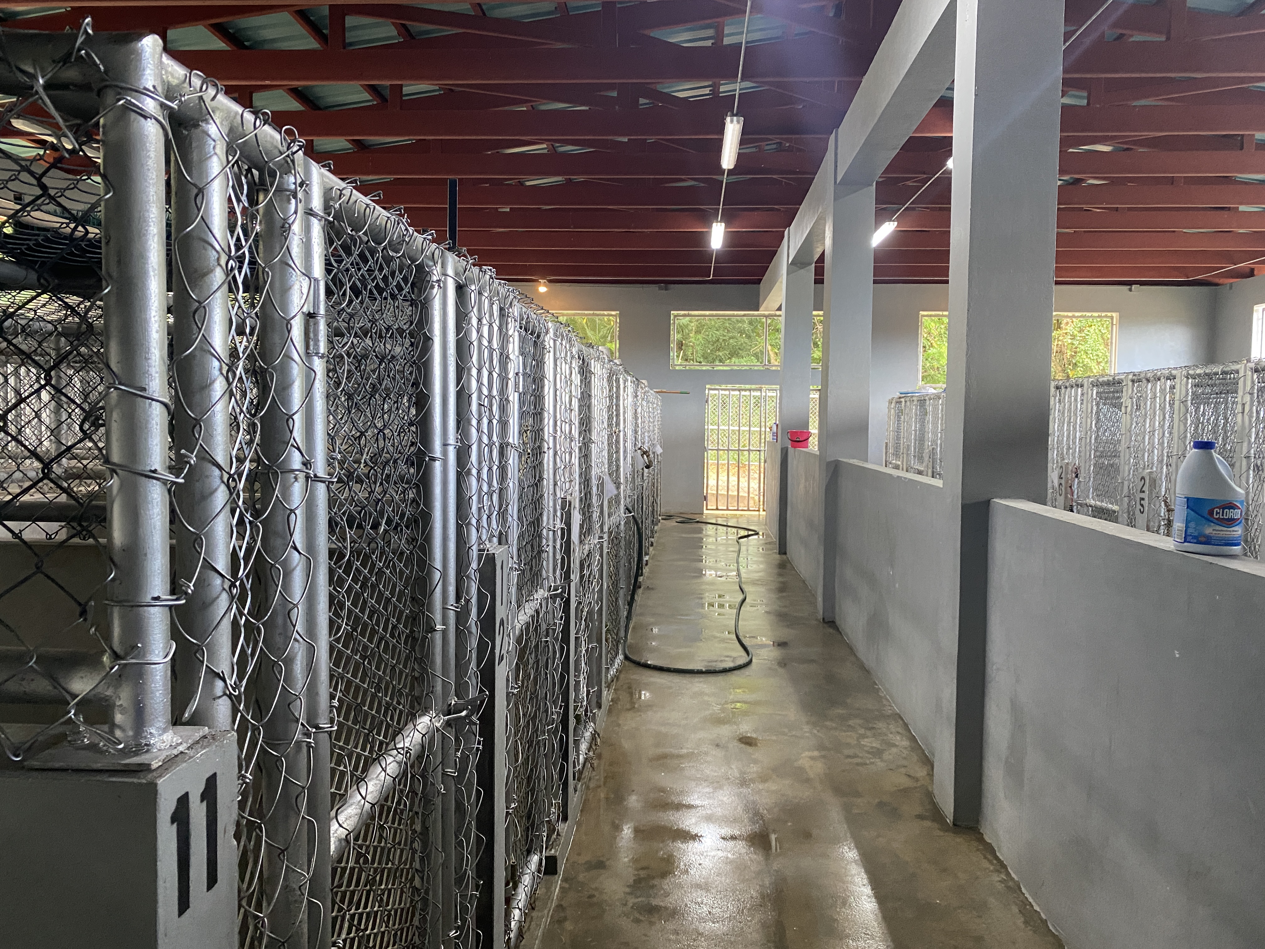 The Saipan Mayor's Office-Dog Control Program animal shelter is located in As Perdido.