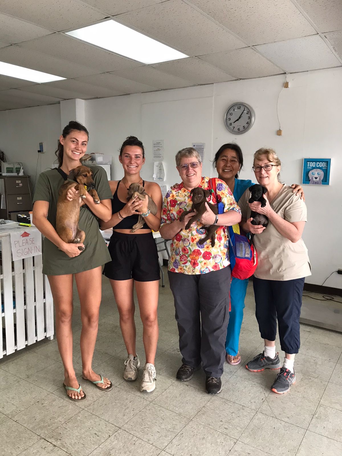 From left, Boonie Babies co-founder Aria Keilbach, volunteer Emily Chmela, Dr. MJ Wixsom, Yumi from Saipan Cares for Animals, and Kathy Hamblett pose with puppies at the SCA clinic on Middle Road.