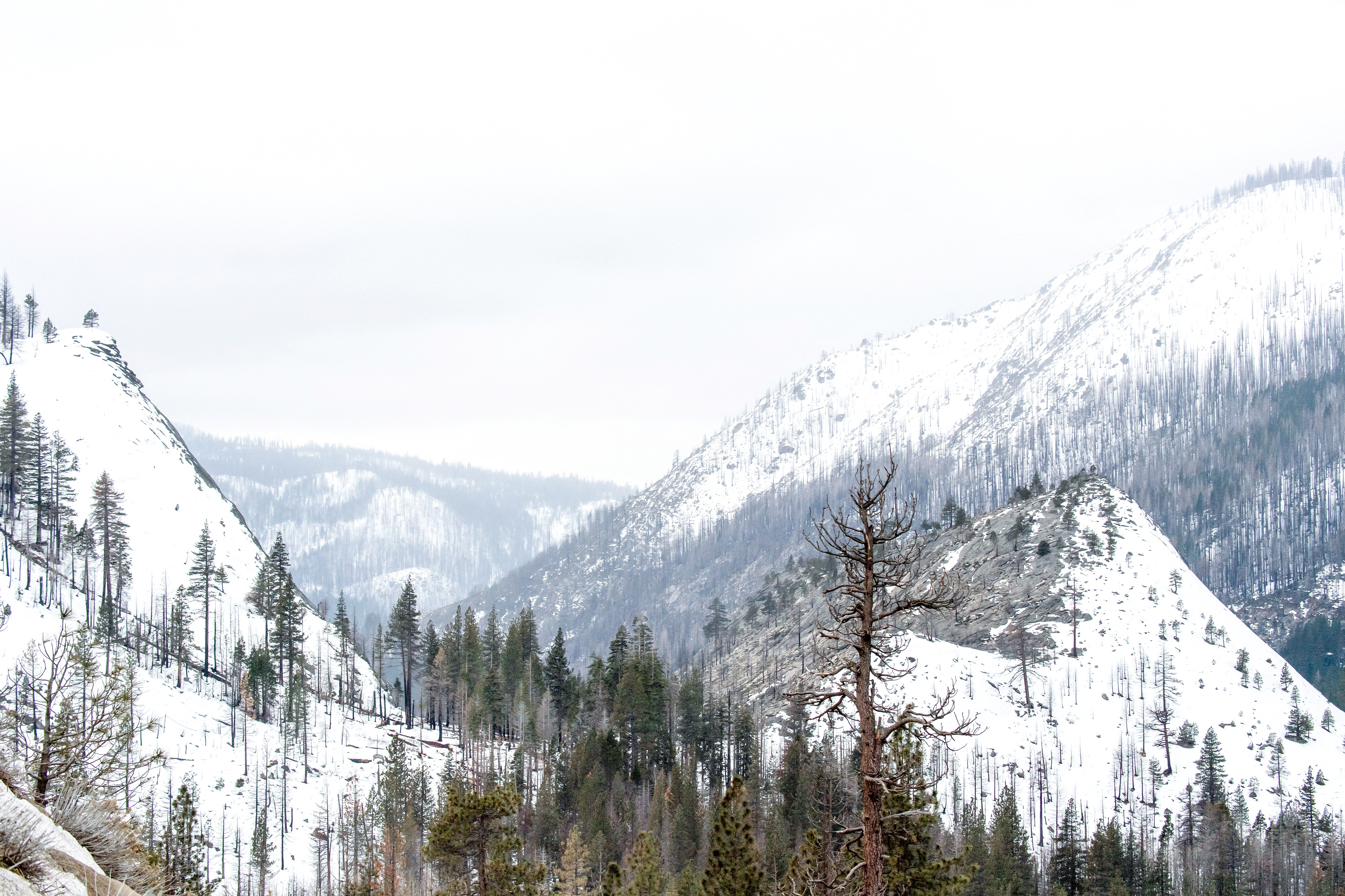 The Sierra Nevada Mountain peaks near Phillips Station meadow, shortly before the California Department of Water Resources' third media snow survey of the 2024 season, California, U.S., February 29, 2024. 