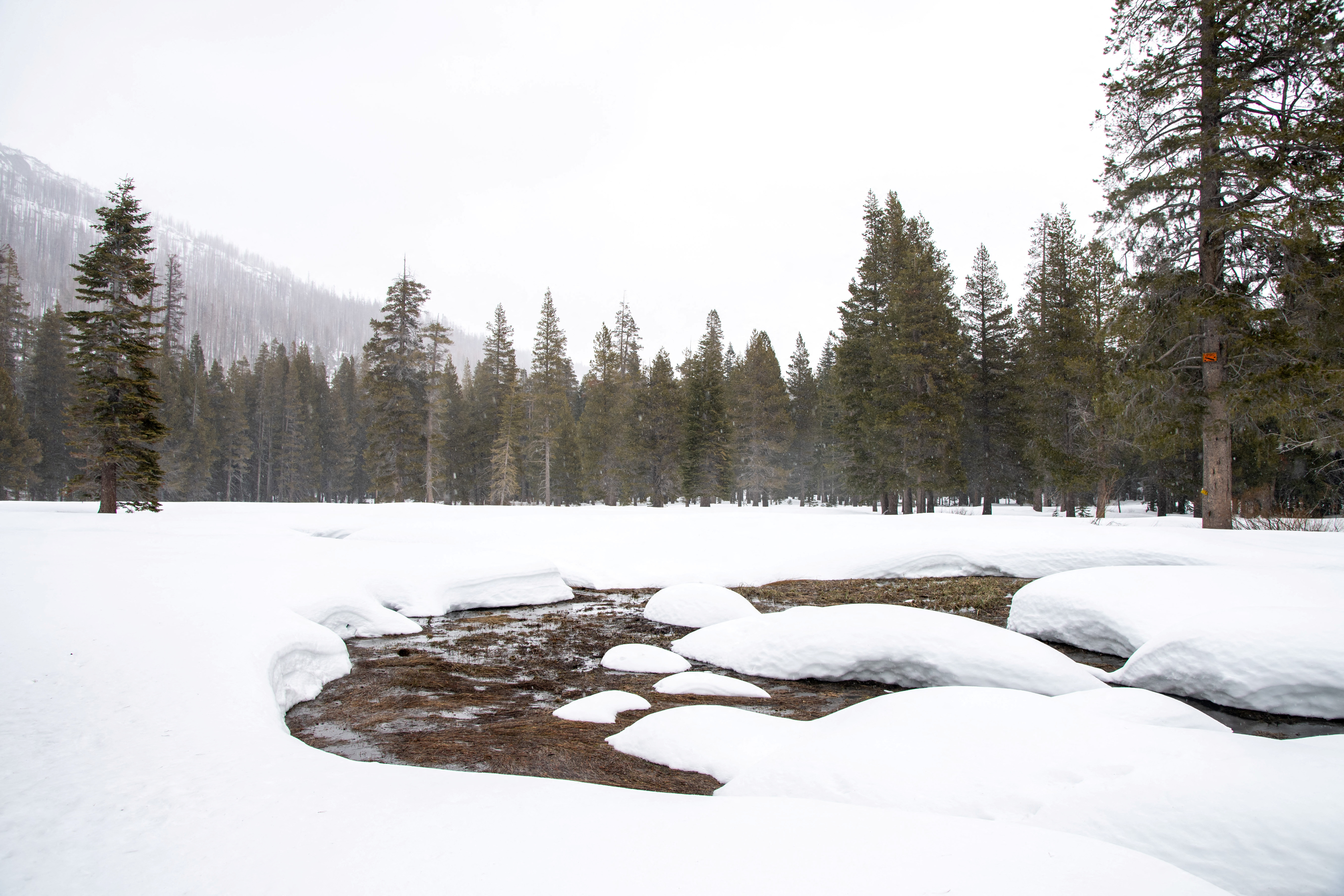 Puddles from melting snow in the field where the California Department of Water Resources conducted its third media snow survey of the 2024 season at Phillips Station in the Sierra Nevada Mountains, California, U.S., February 29, 2024. 