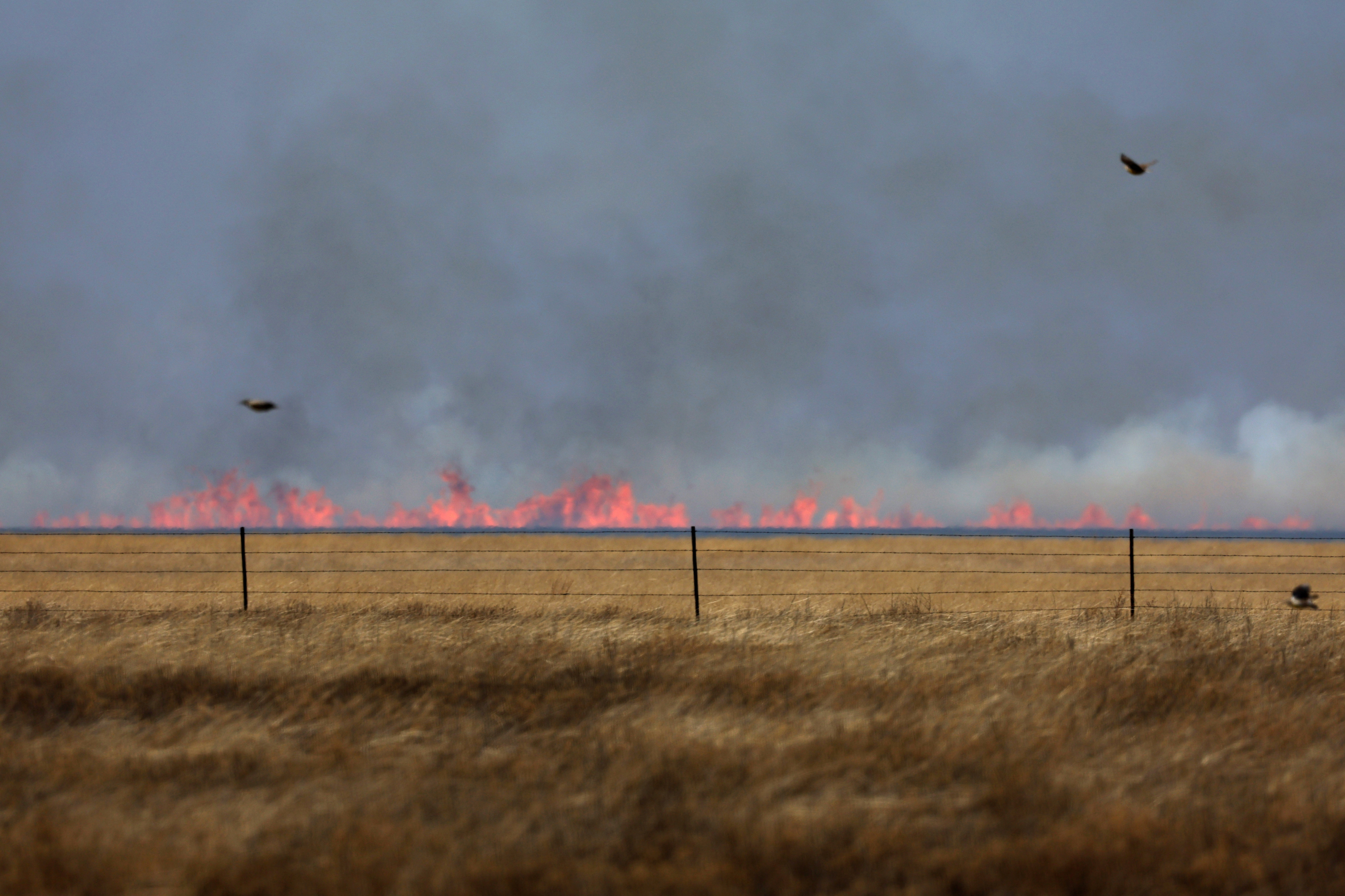 A wildfire can be seen, slightly blurred through heat waves, after it was whipped up by high winds in Pampa, Texas, U.S., March 2, 2024. 