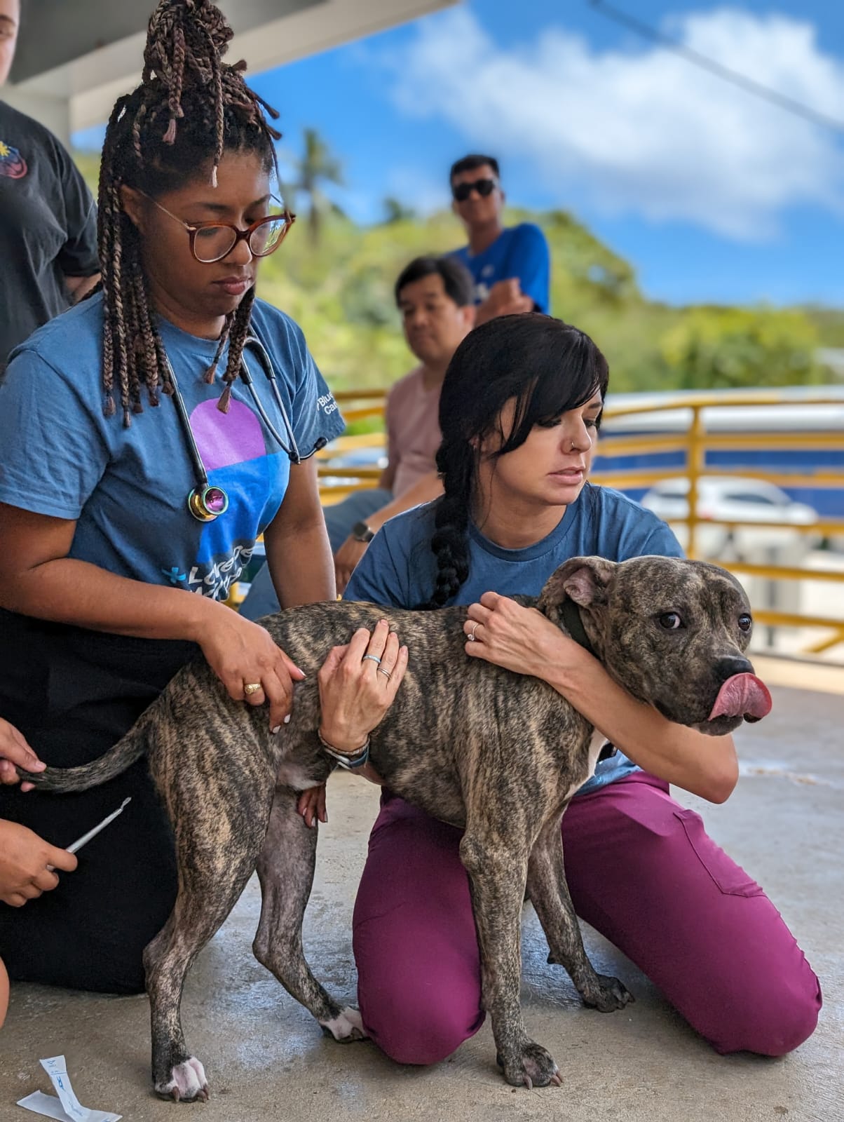 Dr. Erin Black, left, and Lacey Frame were on Saipan through the support of Banfield Foundation and BluePearl Cares. They conducted a spay and neuter clinic and trained Saipan Humane Society staff as SHS prepares to move to an animal clinic in Garapan.