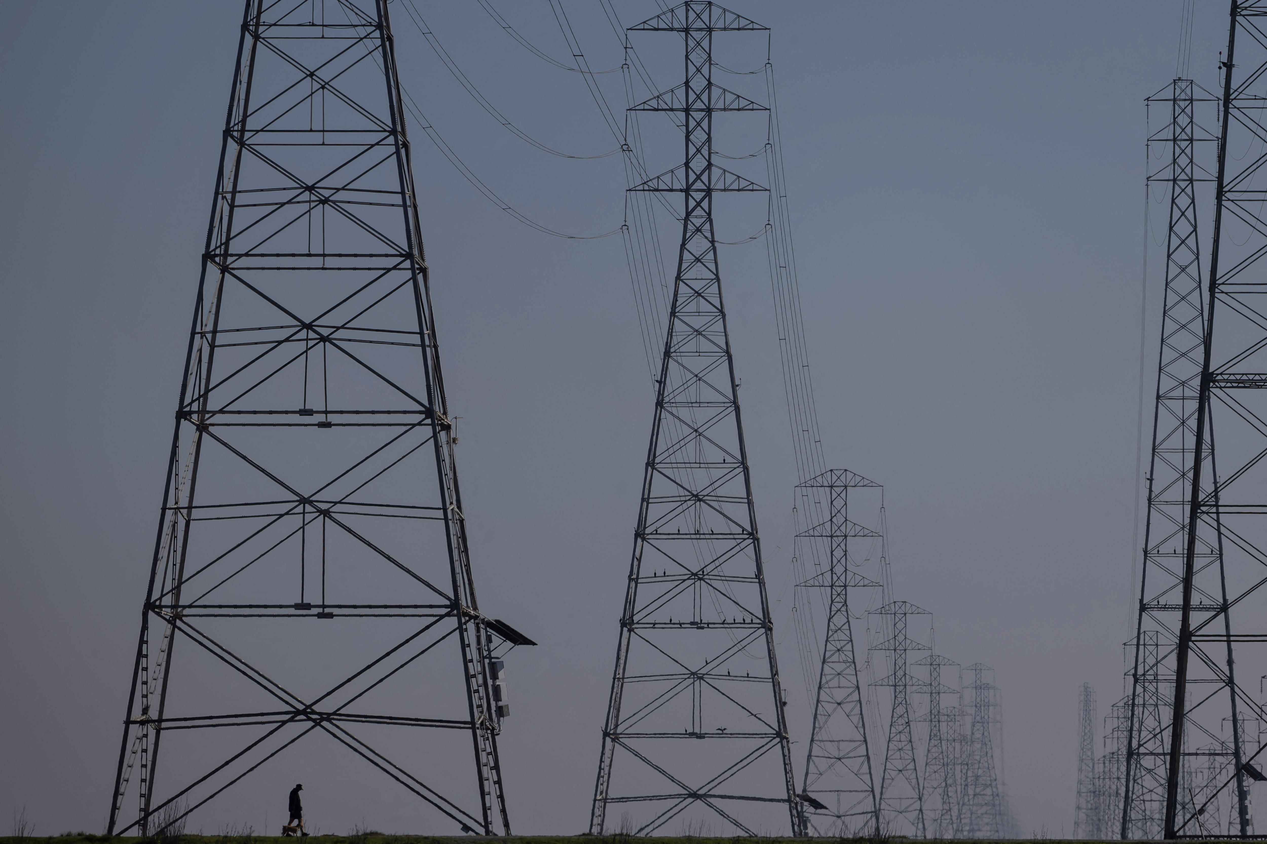 FILE PHOTO: A local resident walks by the power grid towers at Bair Island State Marine Park in Redwood City, California, United States, January 26, 2022. 