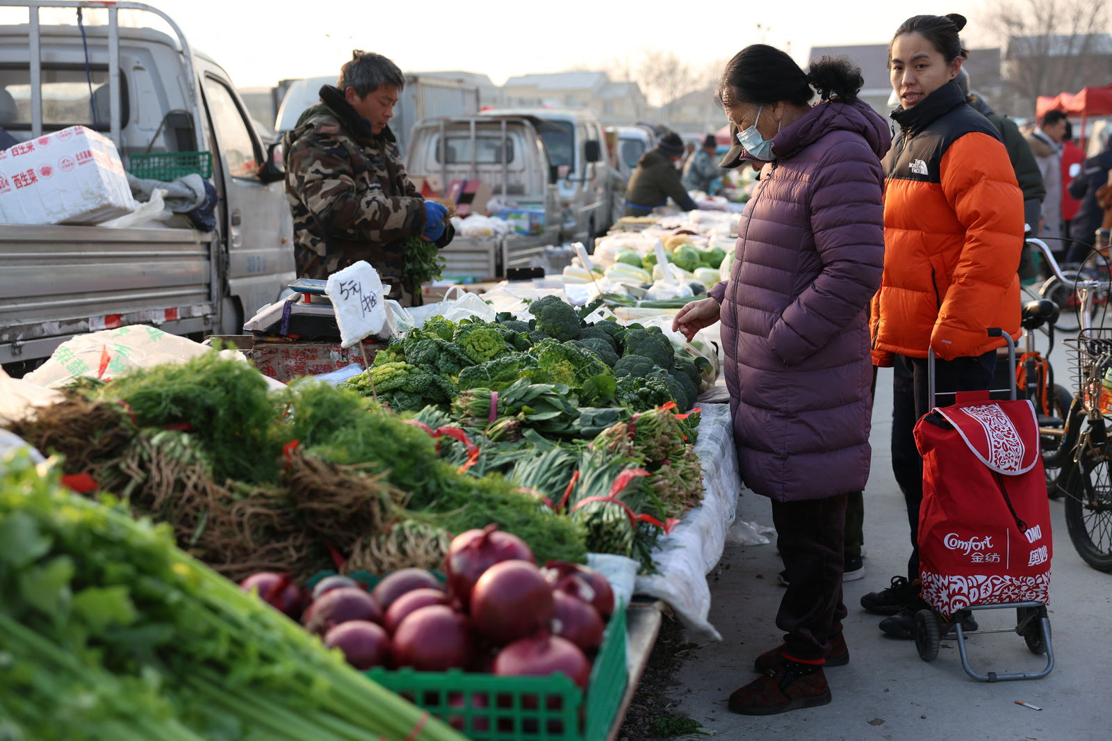 FILE PHOTO: A woman looks at vegetables displayed at a stall at an outdoor market in Beijing, China January 12, 2024. 
