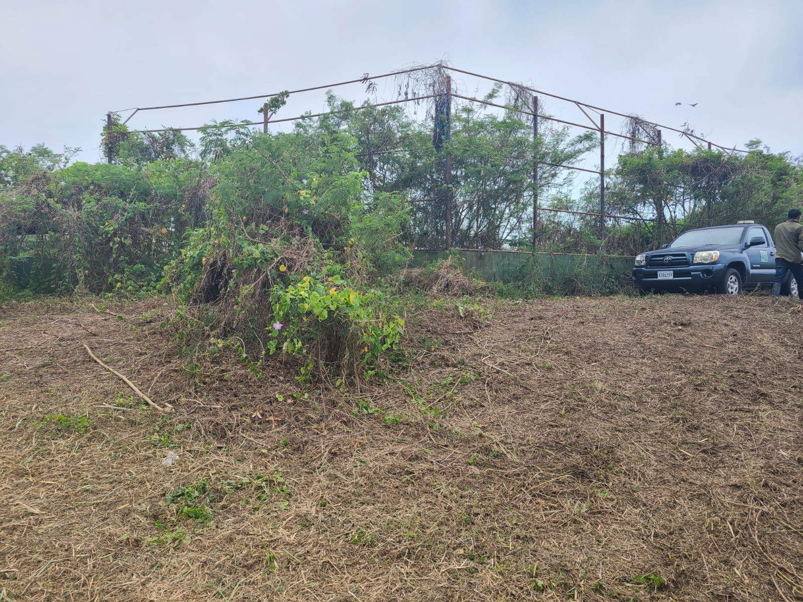 A community worker of House Vice Speaker Joel Camacho clears the area surrounding the Marpi baseball field.