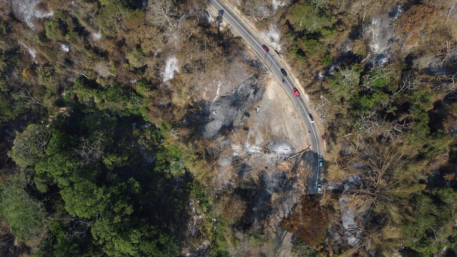 A drone view shows a burned forest after a forest fire in Henri Pittier National Park, in Maracay, Venezuela March 30, 2024. 