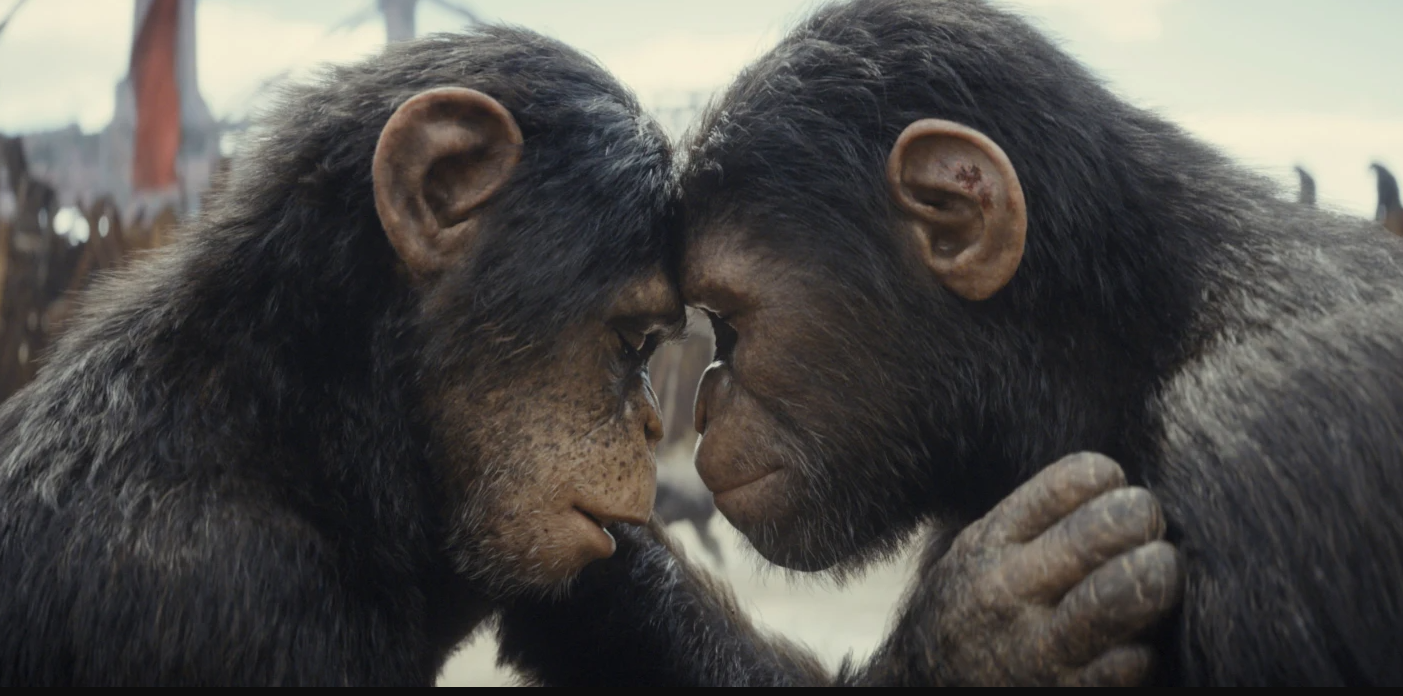 Soona, played by Lydia Peckham, left, and Noa, played by Owen Teague, in a scene from “Kingdom of the Planet of the Apes.”