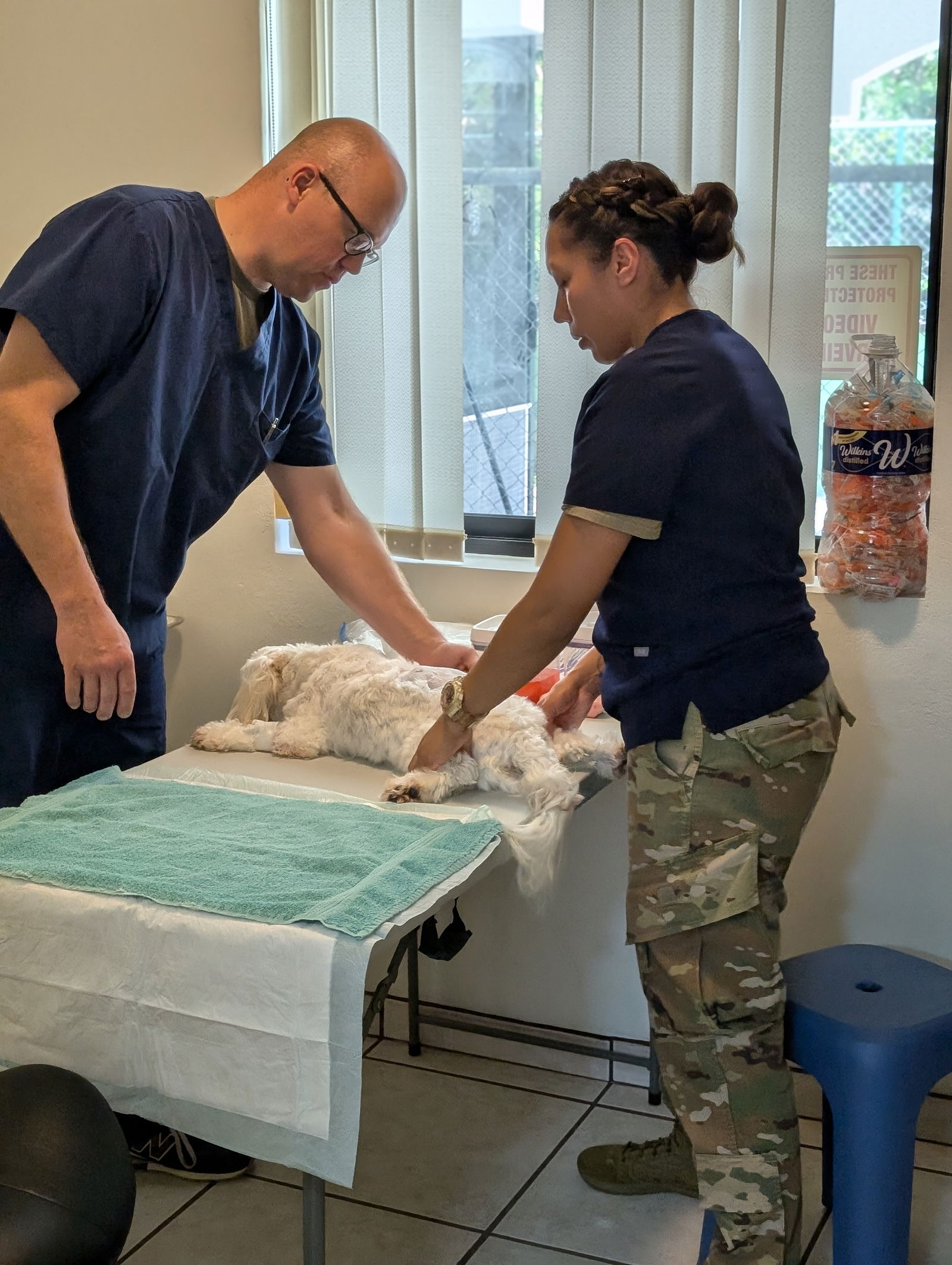 Maj. Aaron Larson, left, and Staff Sgt. Marisela Ruedas tend to a dog as part of CNMI Operation Wellness. 