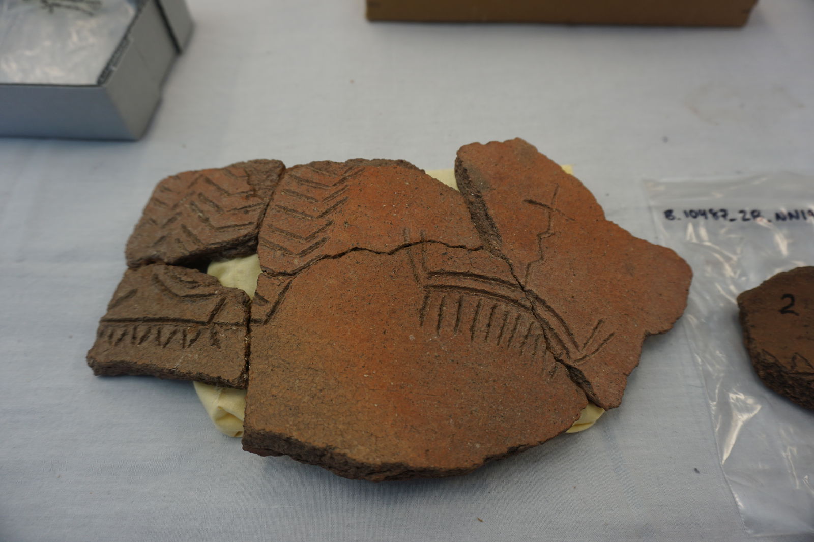 These pottery shards from Guam display unique etchings. 