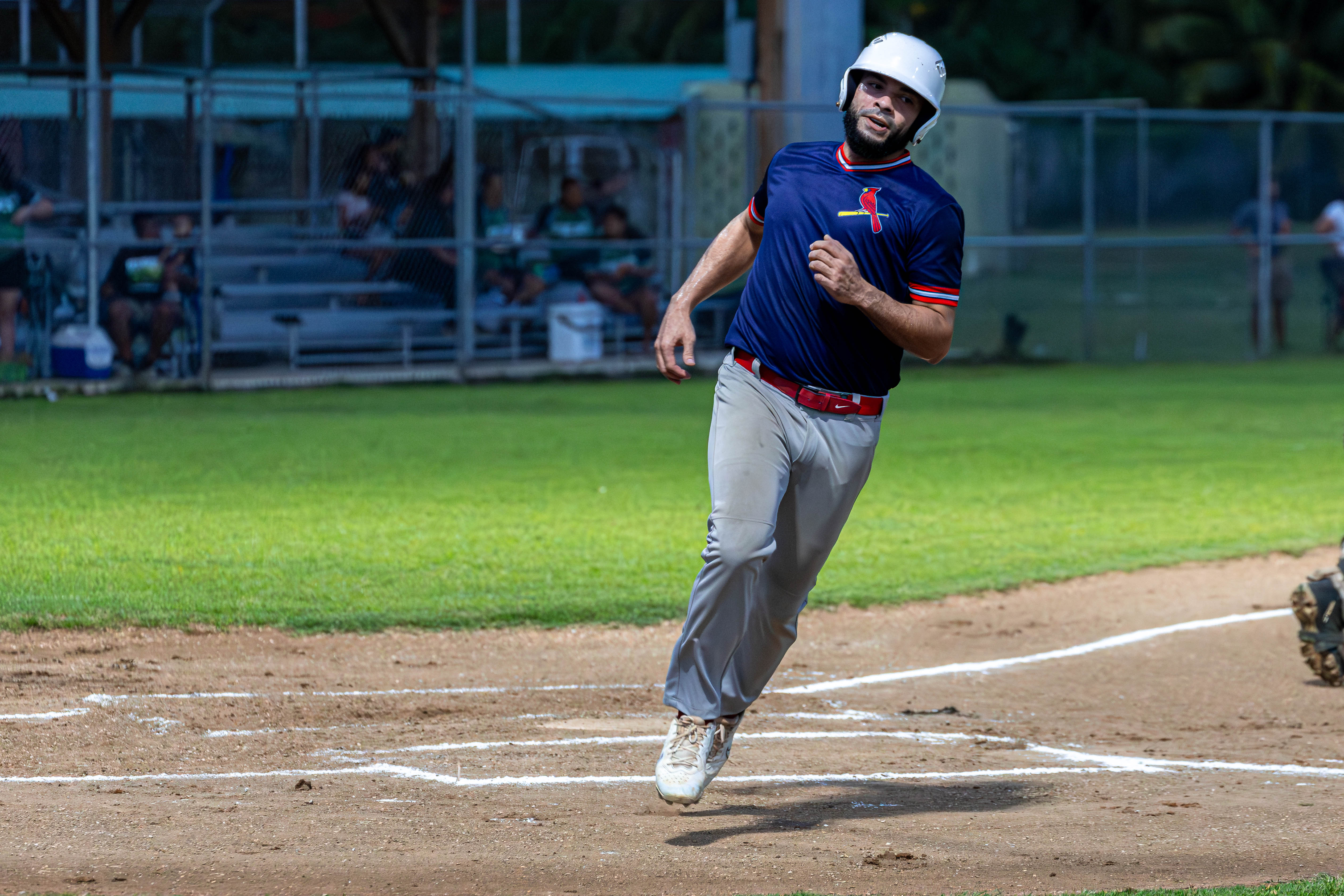 The Cardinals' Eli Augenbach steals home against D9er's.
