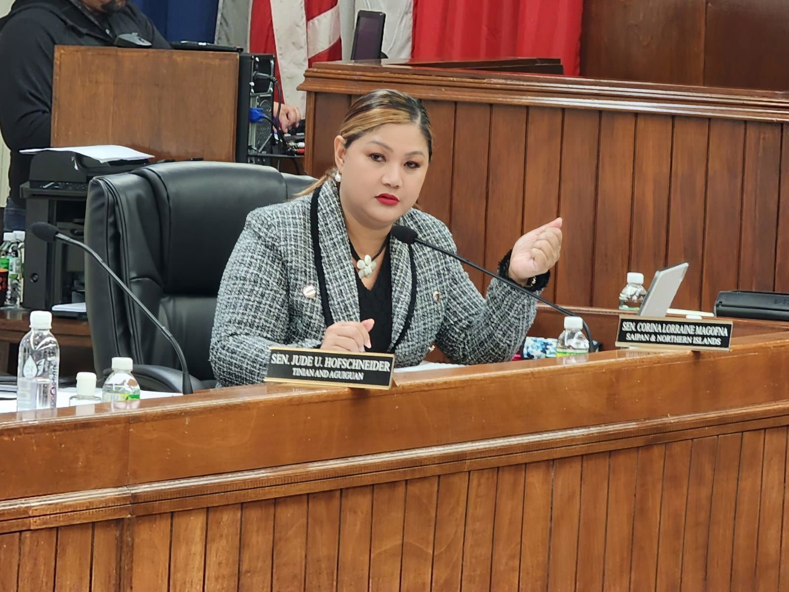 Senate Floor Leader Corina Magofna asks a question regarding ARPA funds during a hearing on Tuesday.