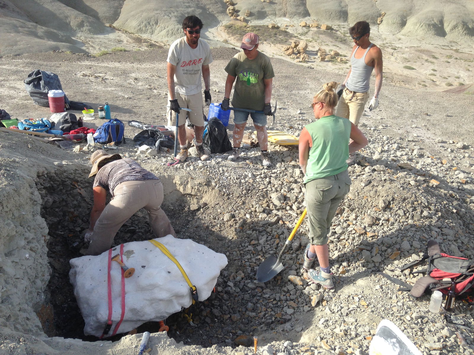 Haviv Arahami's research describes a new dinosaur species that was discovered in the Cedar Mountains of Utah.