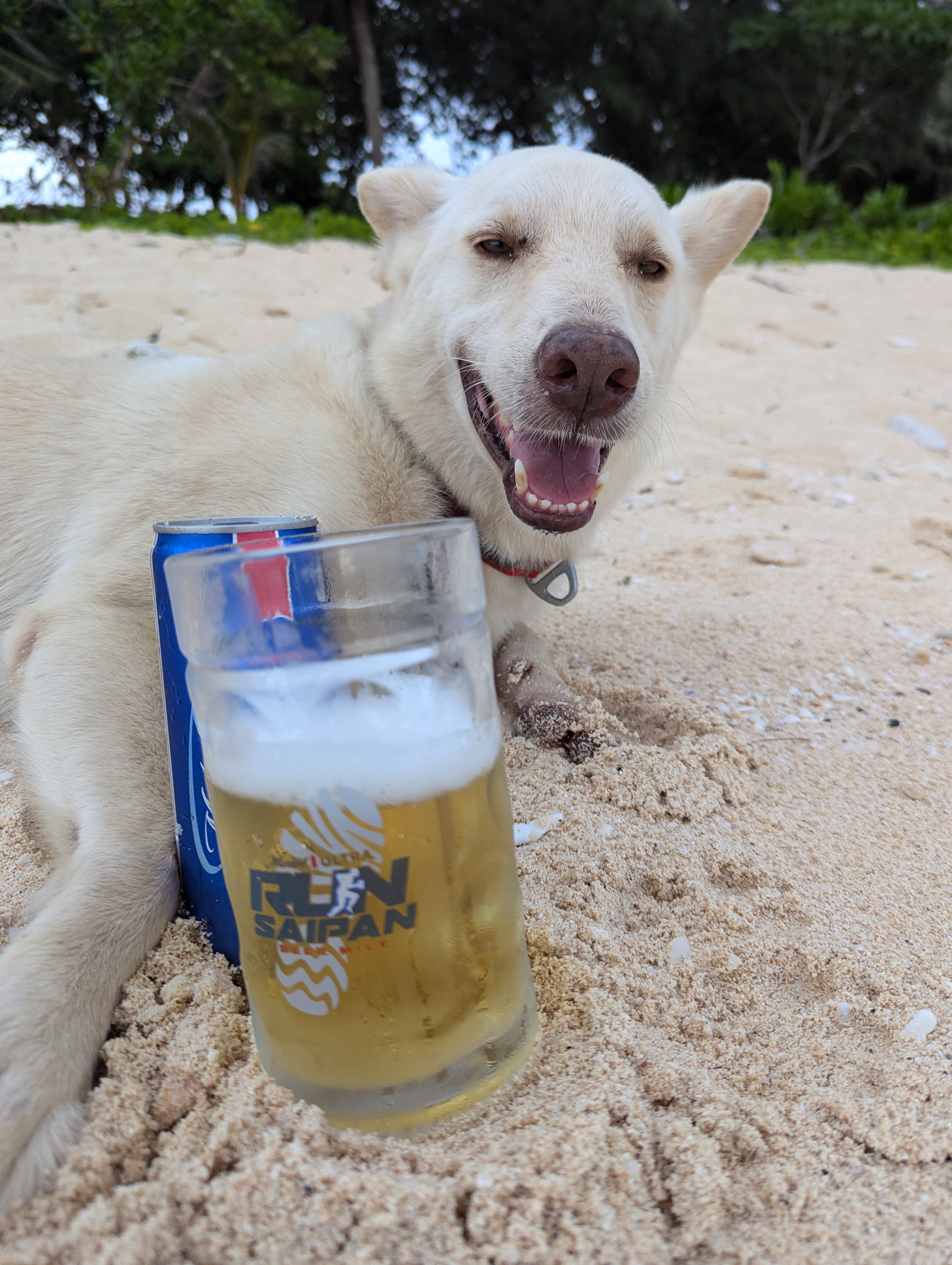 Run Saipan’s Michelob Ultra Beer Mile will raise funds for the Saipan Humane Society.
