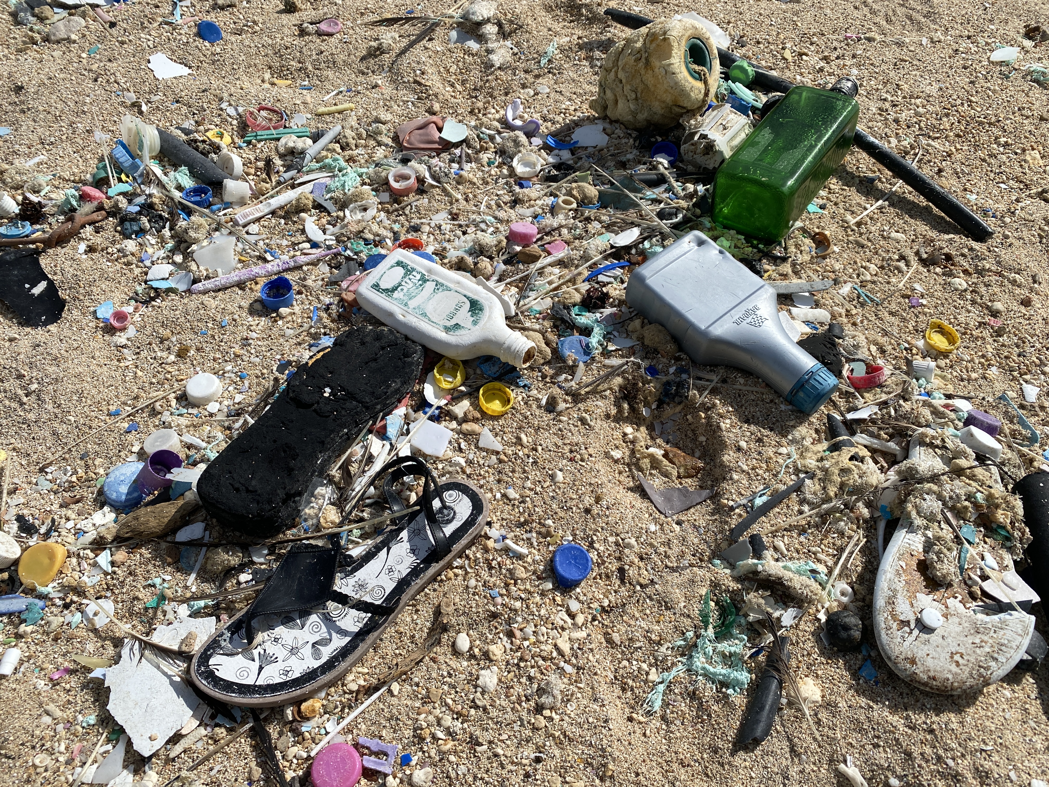 Several types of litter are seen on the Old Man by the Sea beach.