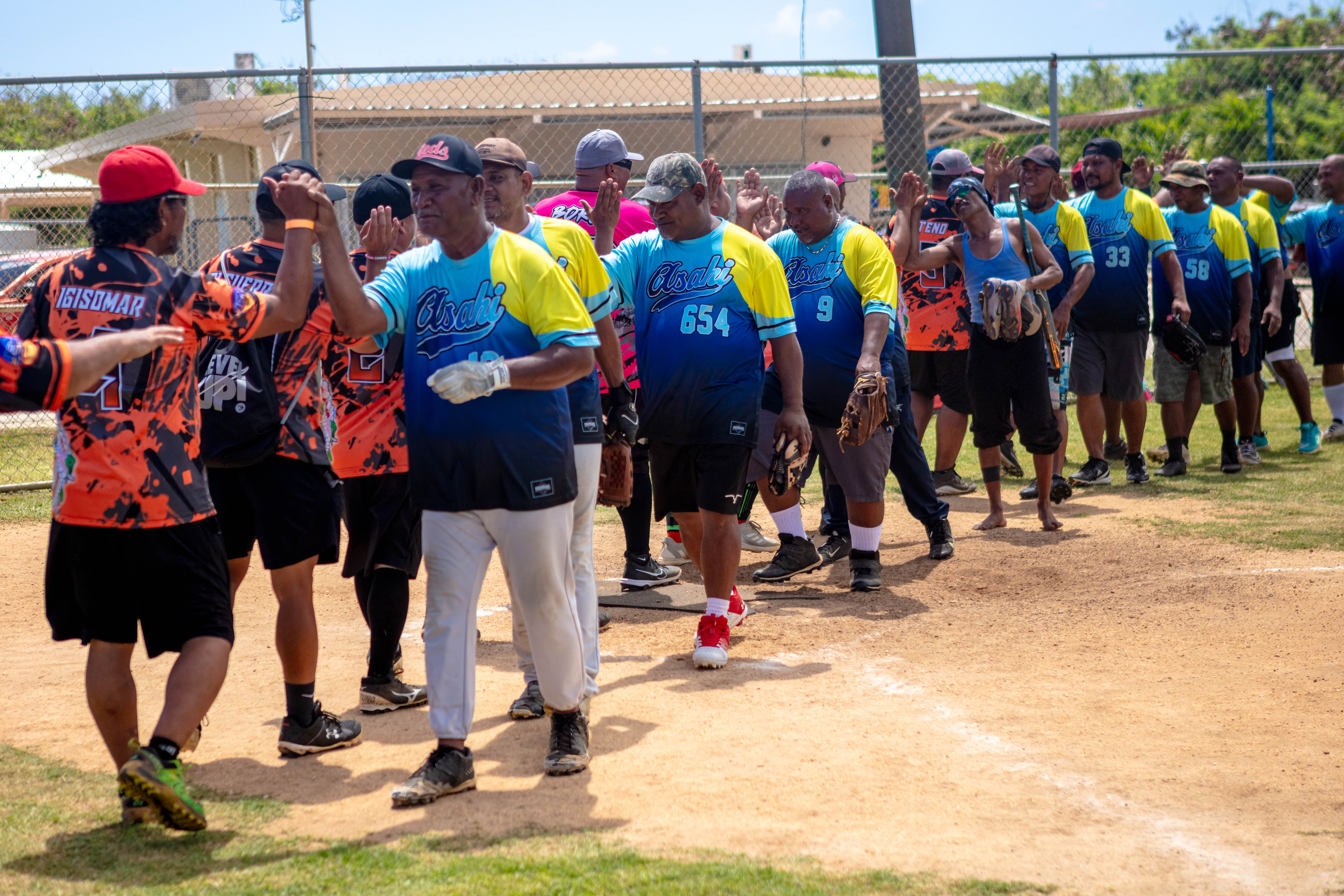 Both teams' players shaking hands and showing good sportsmanship after a tough series.